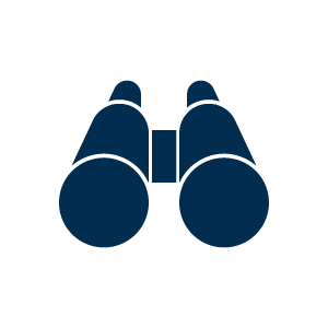 Binoculars icon