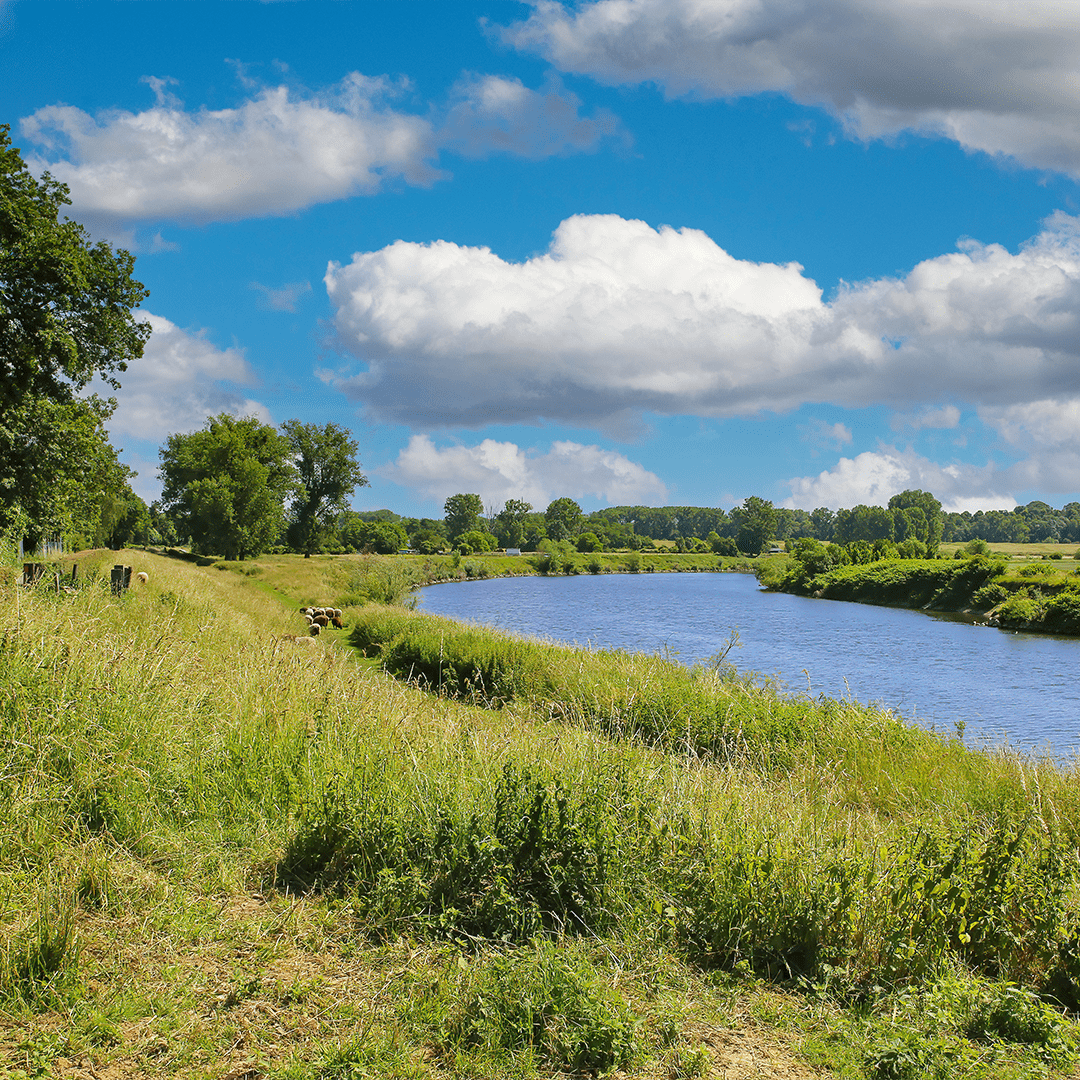 projectbeheersing CTA