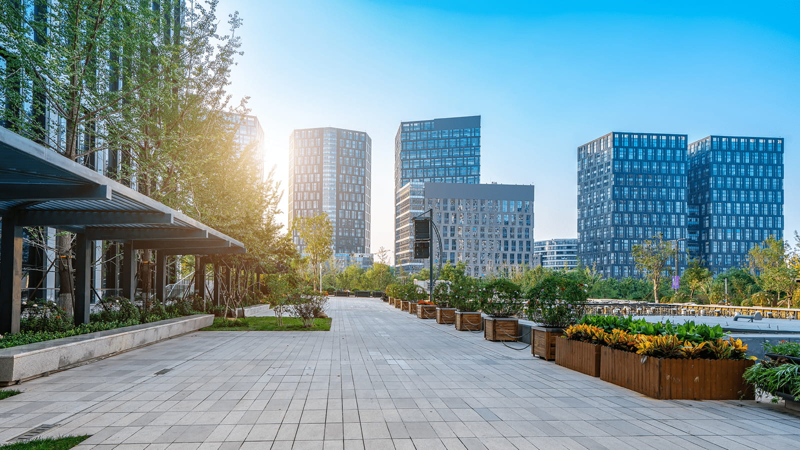 Gebouwen in de verte