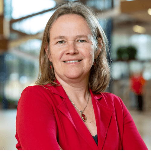 Liesbeth Schipper - Leading professional Programme management | Consultant Strategy & Management