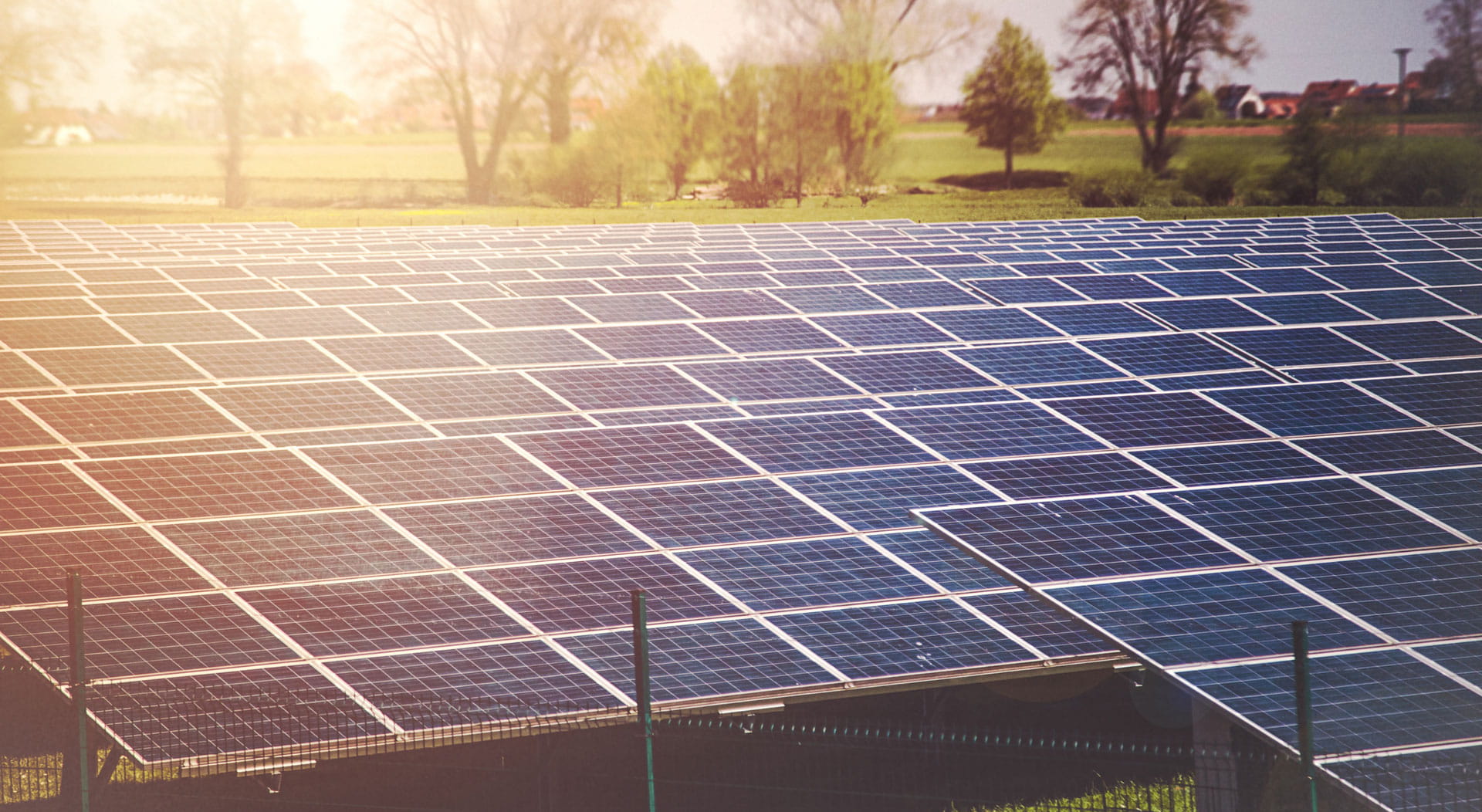 Zonnepanelenpark