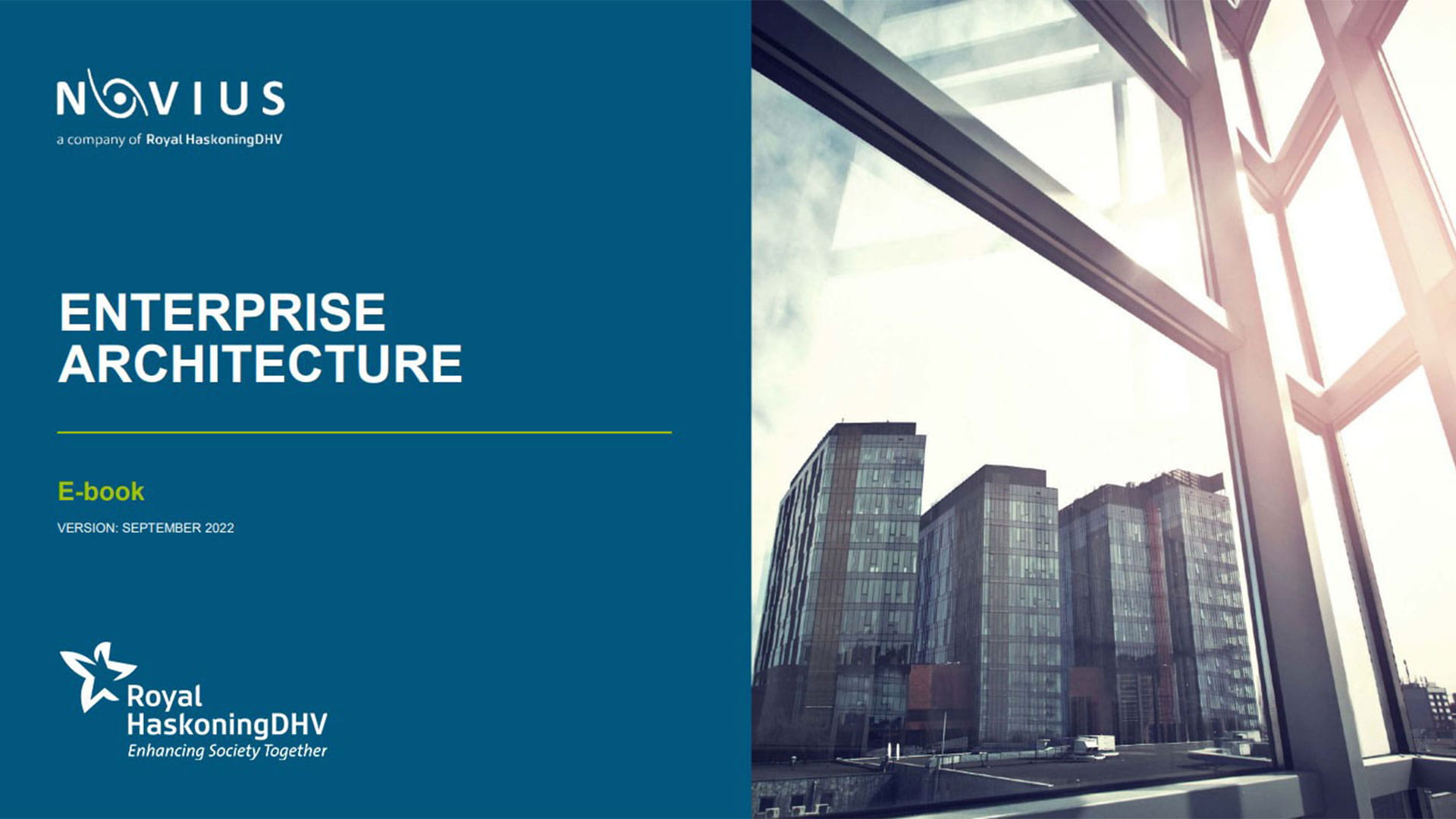 e-book Enterprise Architecture