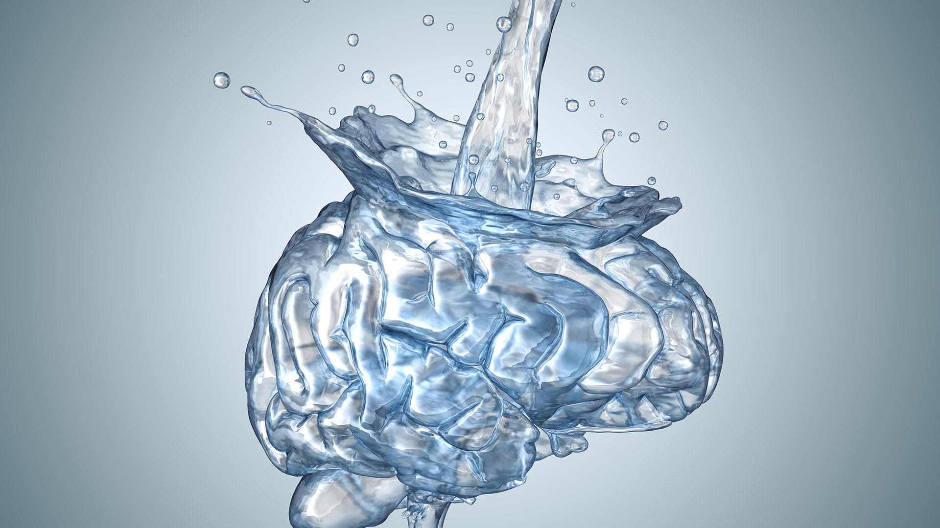 Lozing van brijn water steeds meer onder druk