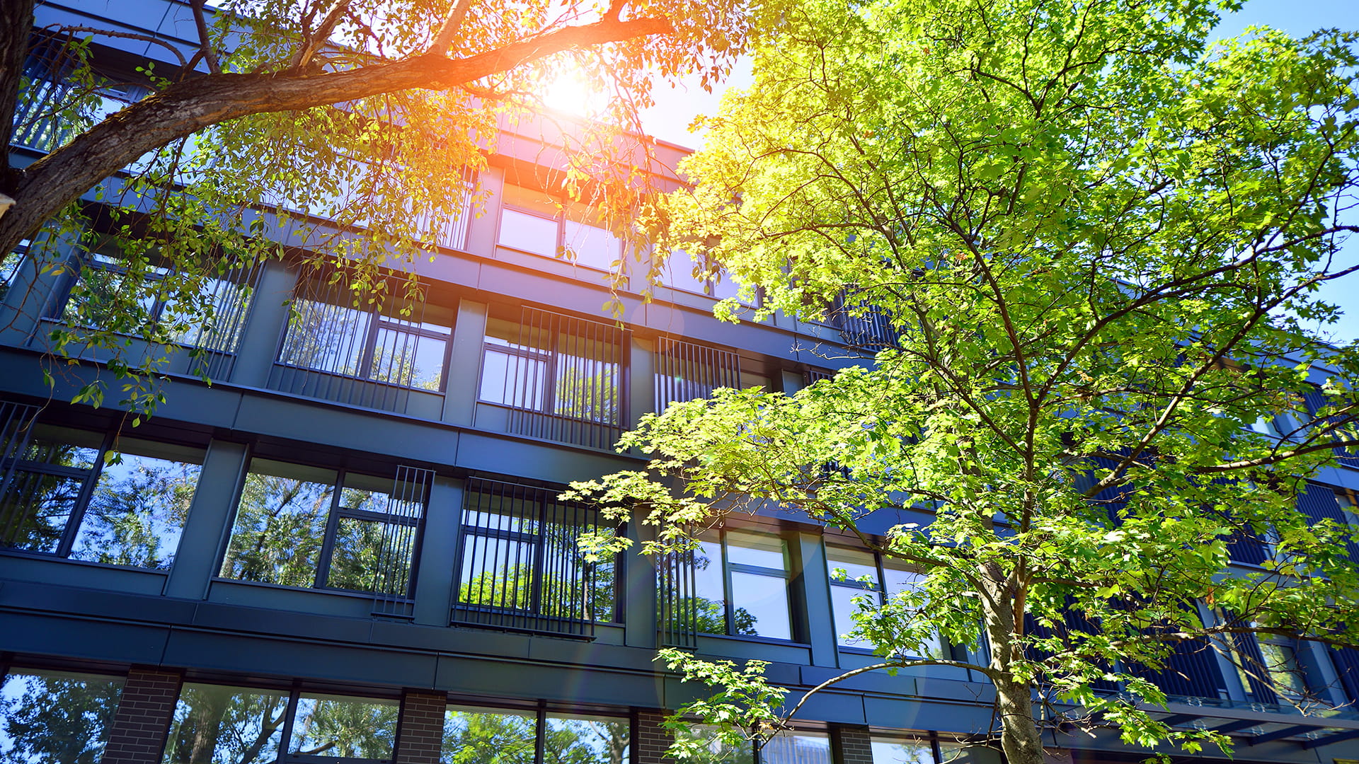 Beeld van een duurzaam gebouw 