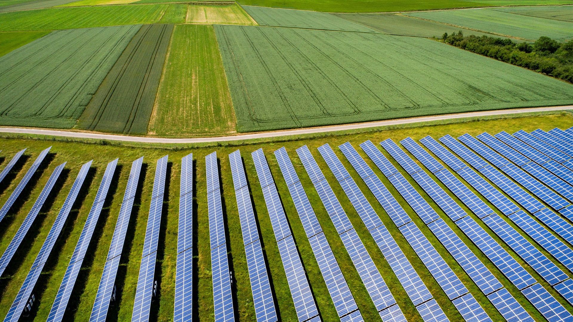 Netschaarste in het landelijk gebied