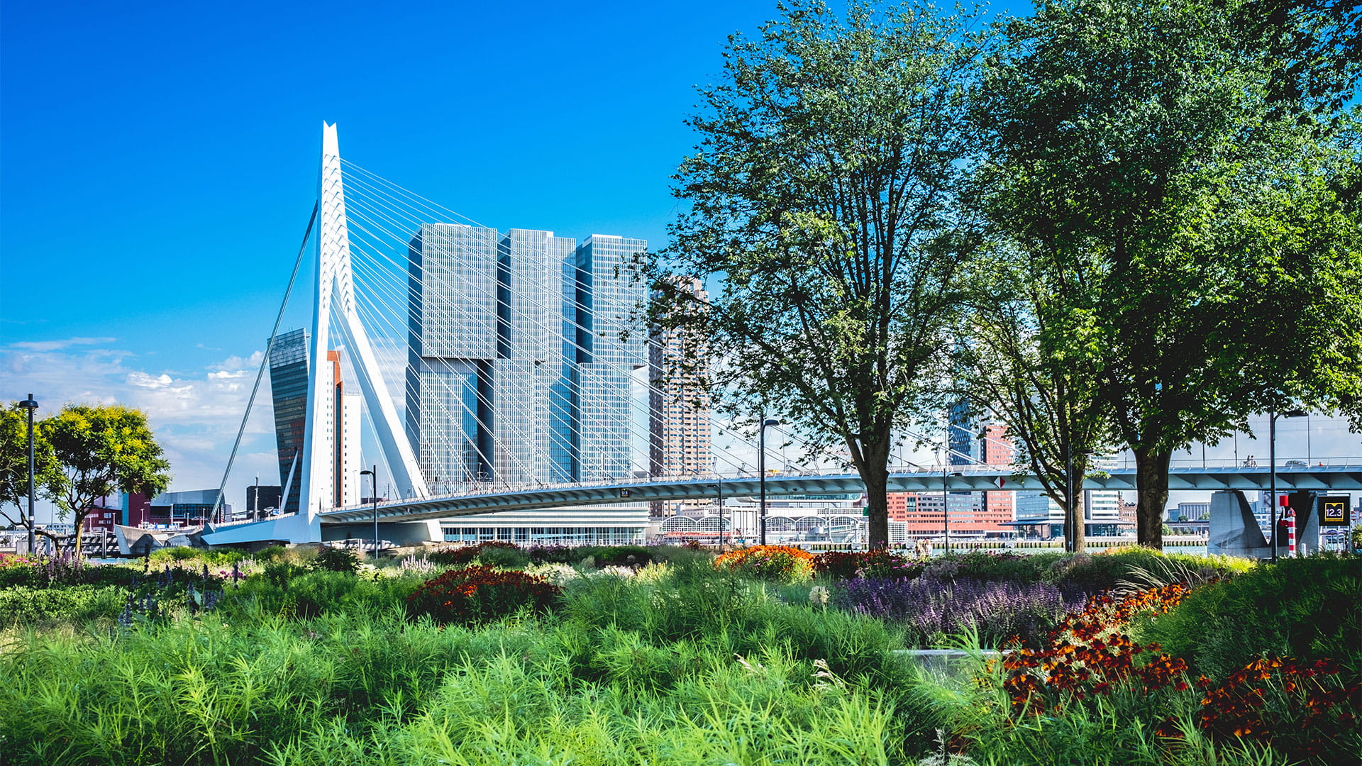 De Nieuwe Ruimtelijke Ordening 