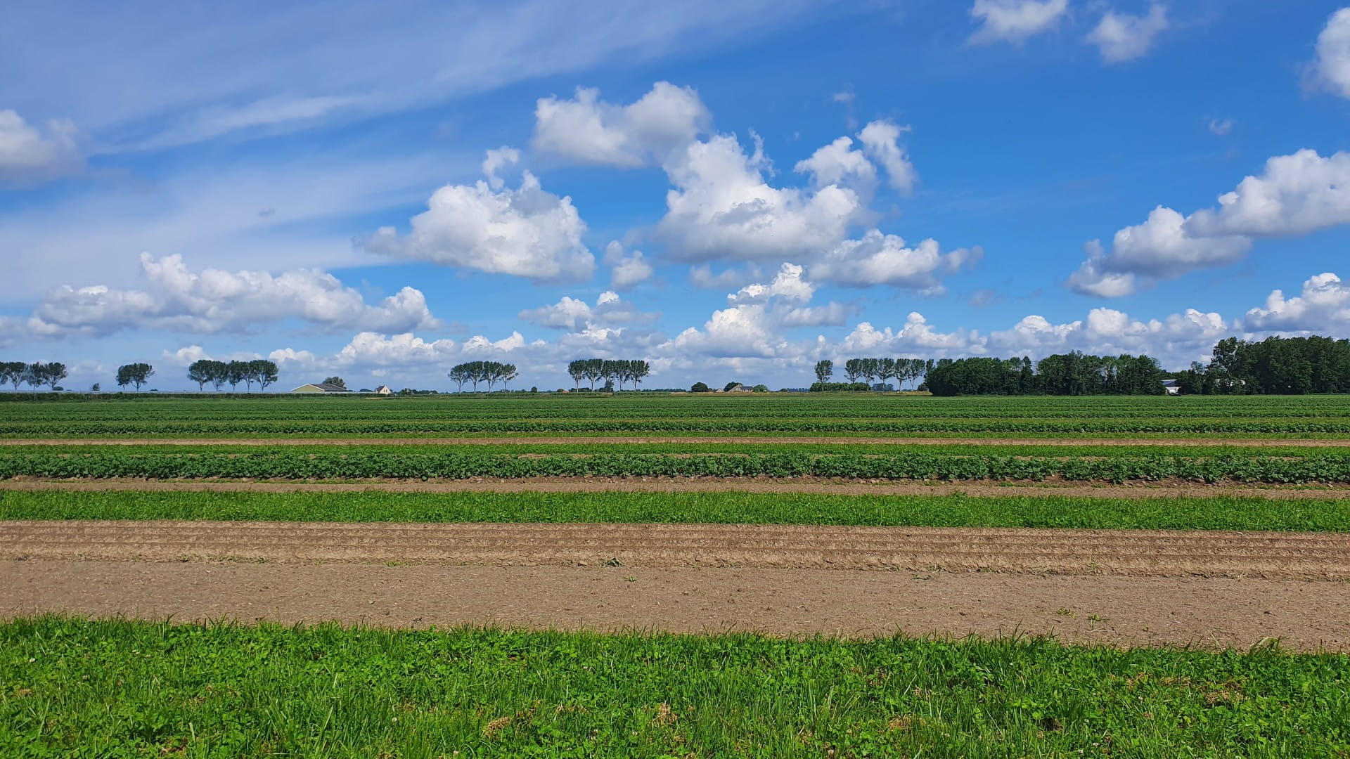 Transitie Landelijk Gebied - blog 2 - beweging vanuit het midden