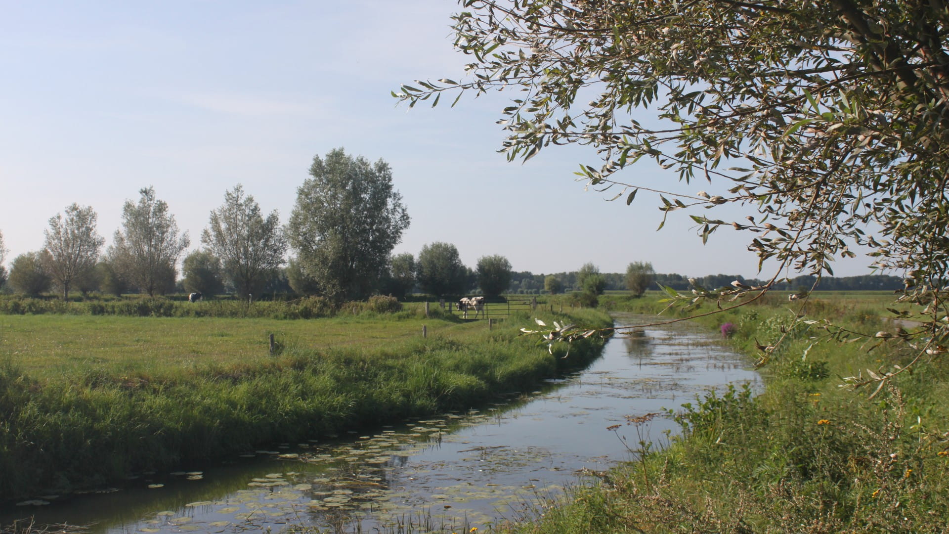 Transitie Landelijk Gebied - GGA Molenbeek