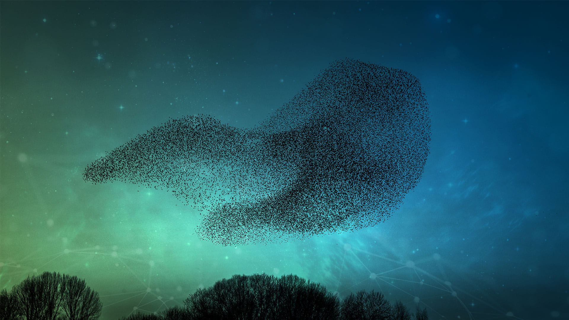 Blogreeks Wendbaarheid-H