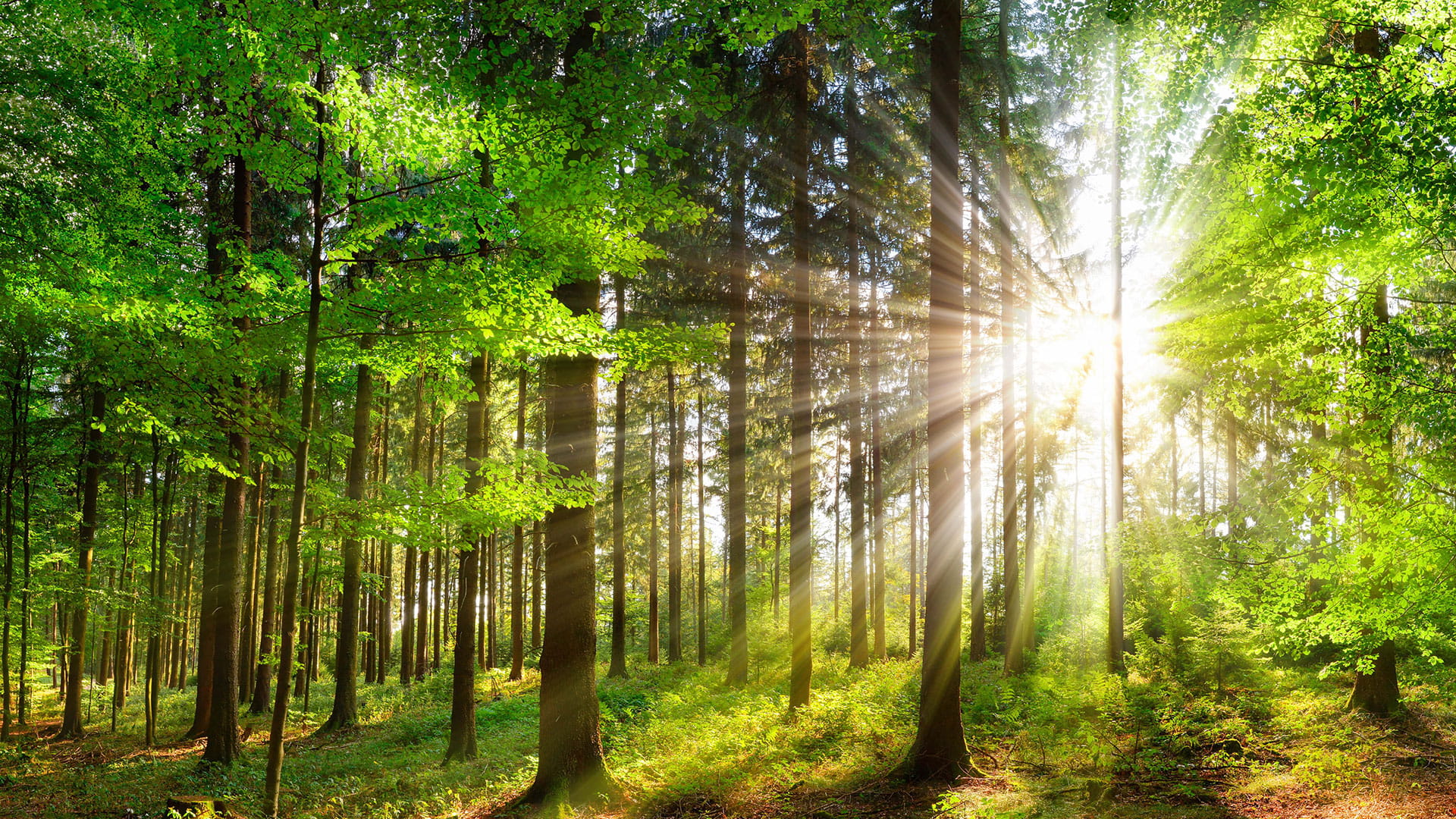 Transitiemanagement-art-2