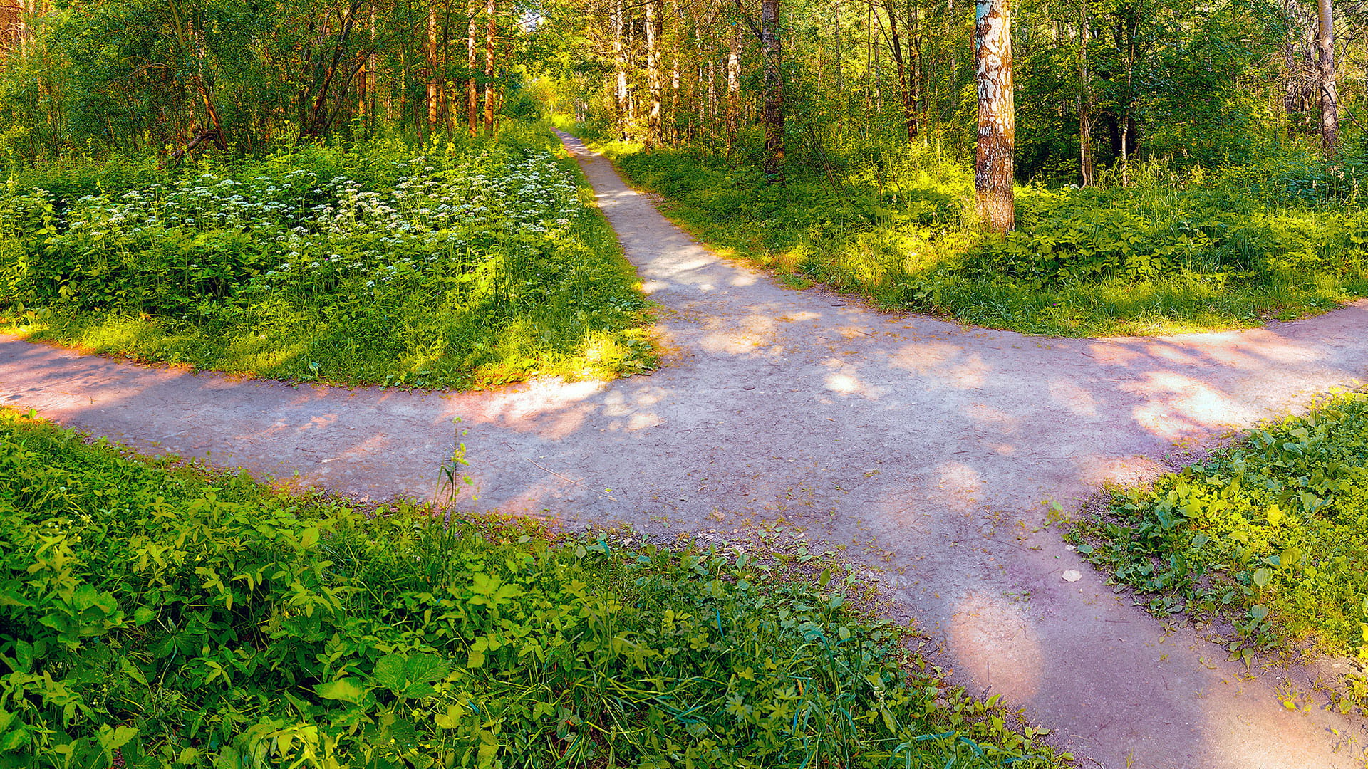 Transitiemanagement-art-3