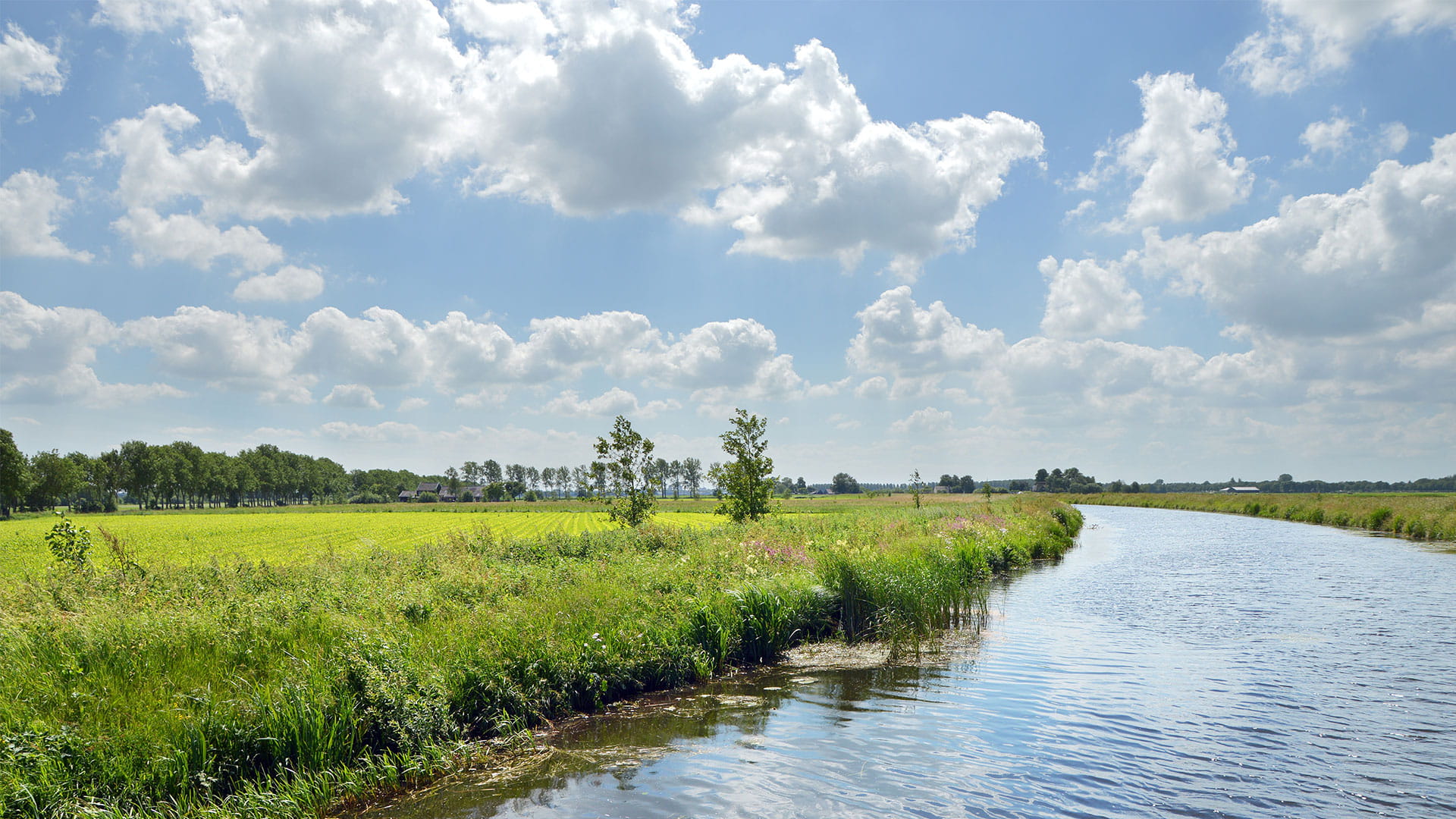 Standaardiseren doe je samen