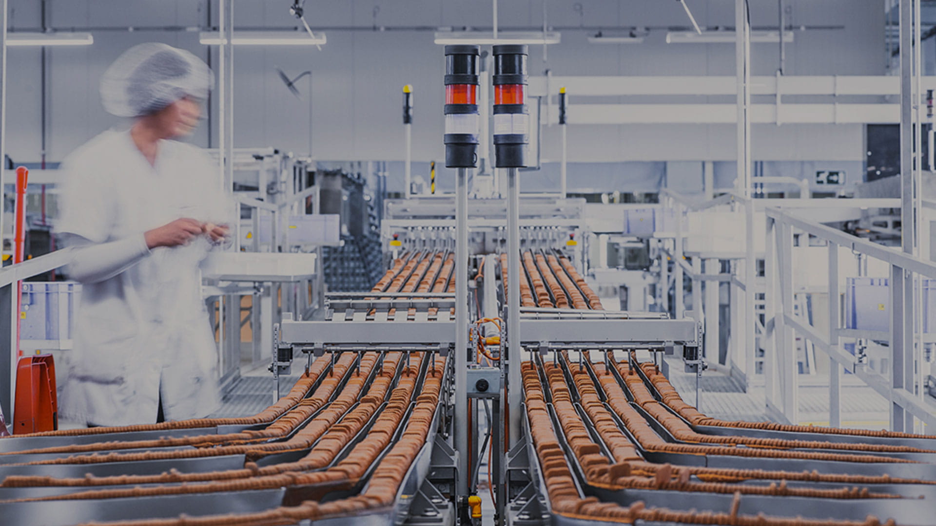 Cookie bakery factory