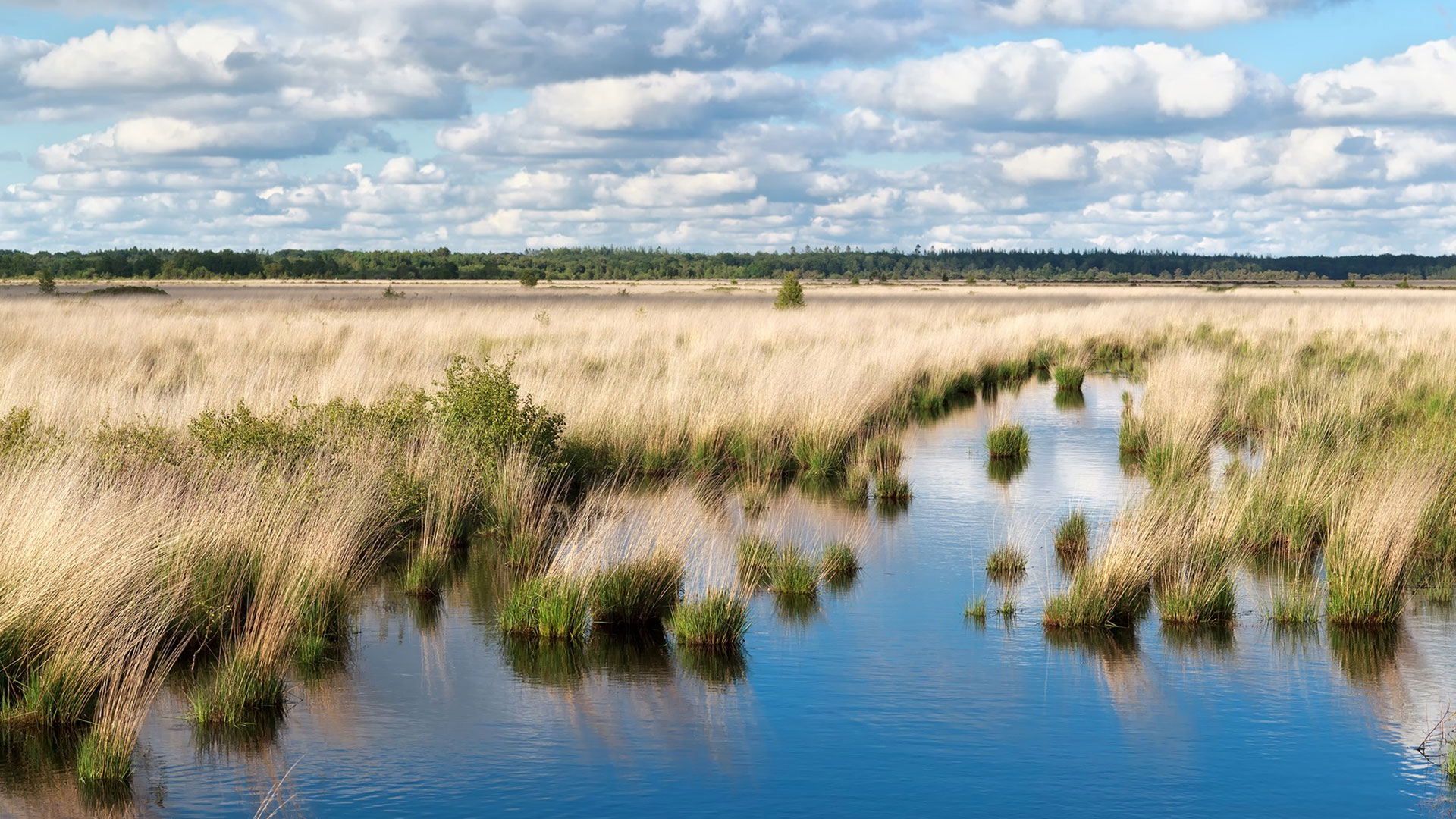 Stikstof: de dilemma’s in kaart l Haskoning