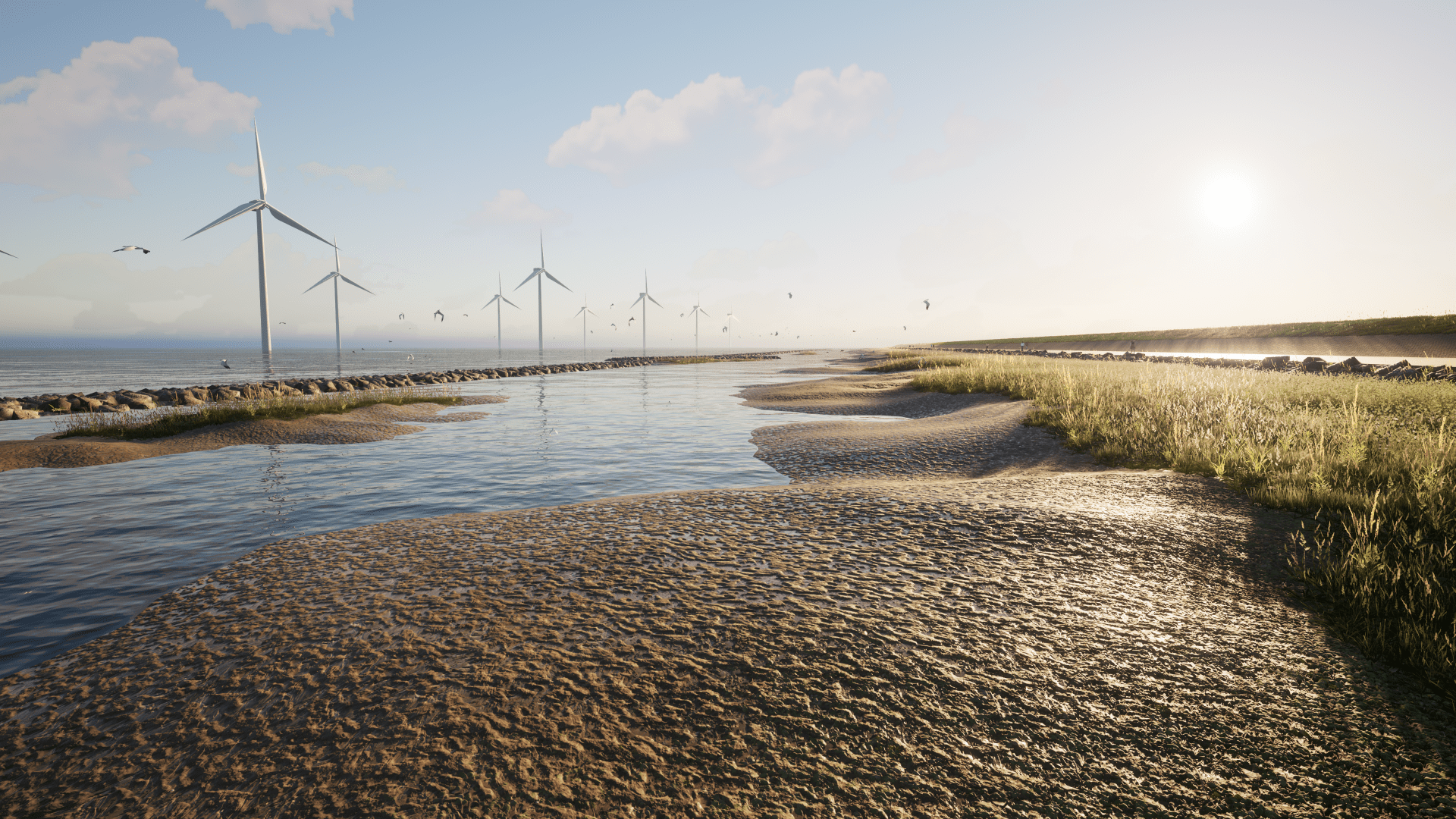 Nature-based solution dijkversterking bij de IJsselmeerdijk