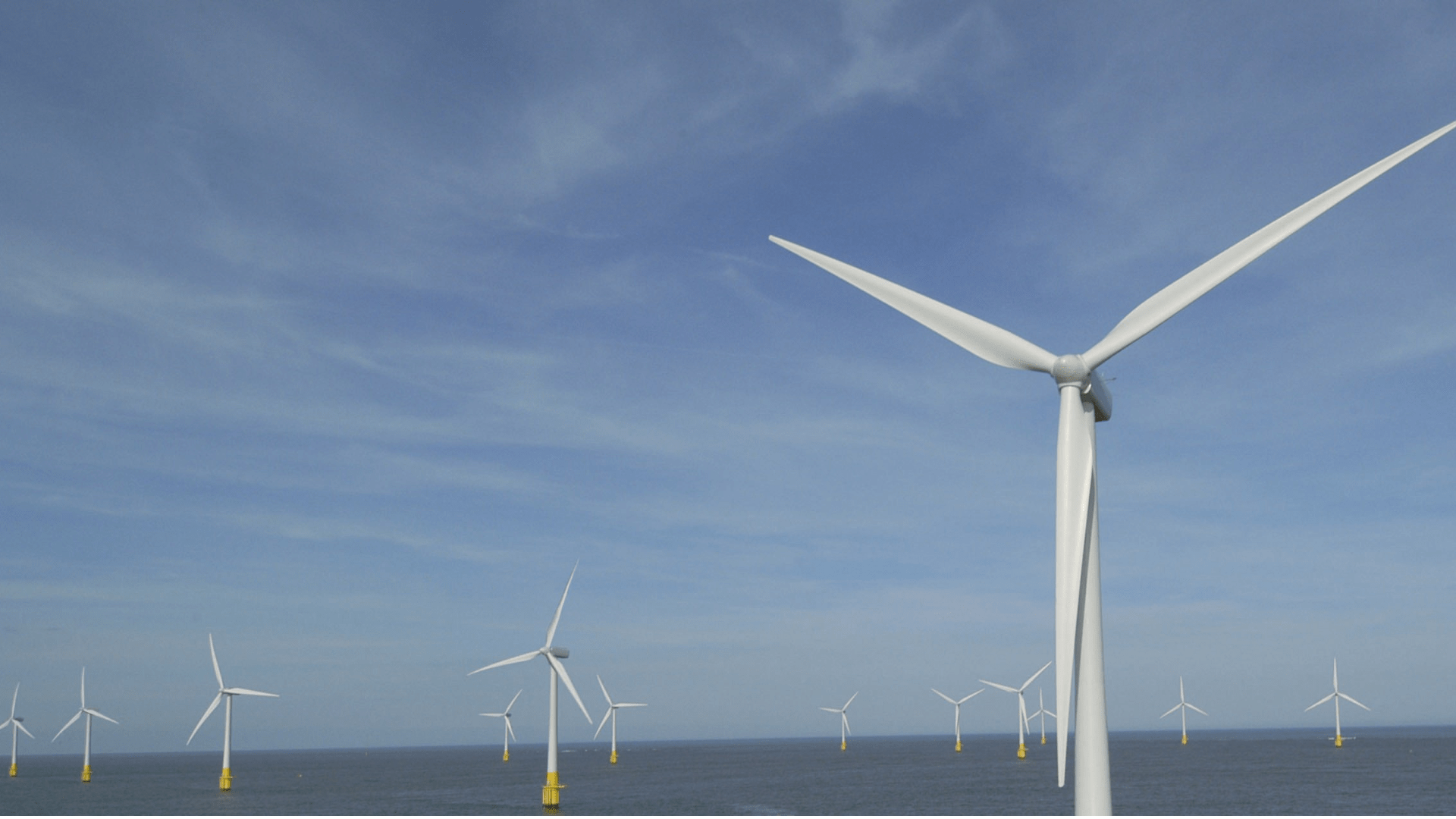 Foto van een windpark op zee