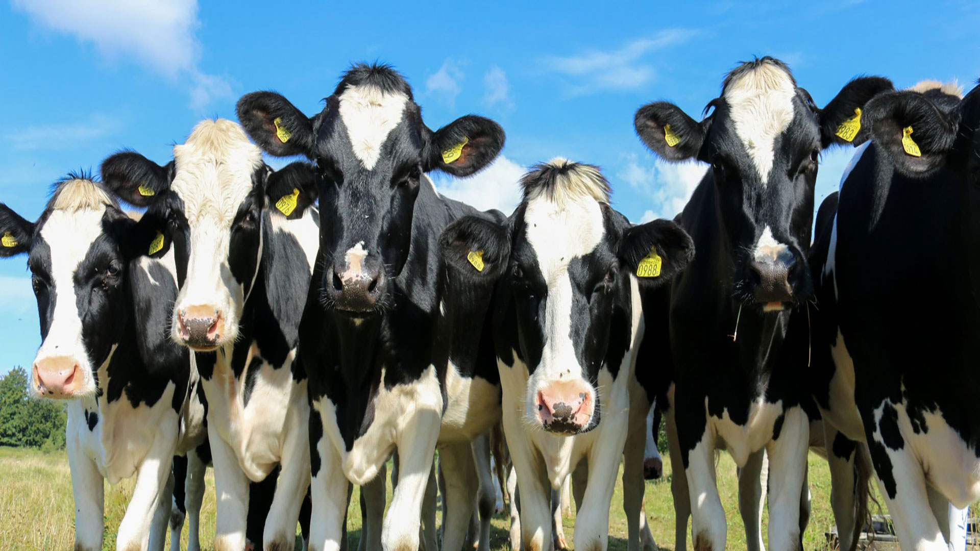 Grondstofstromen_agrofoodsector_H