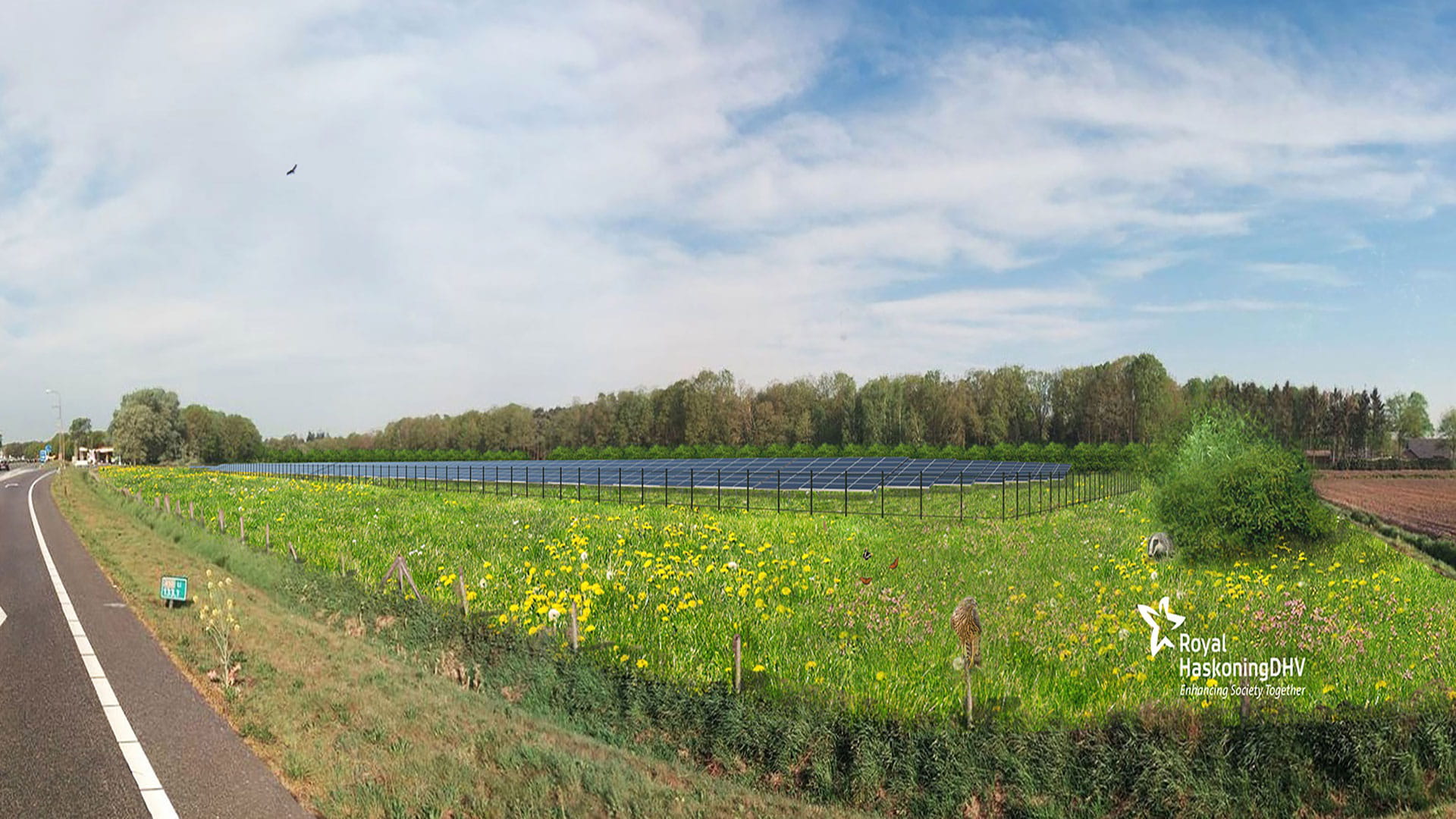 Ontwikkeling-natuurvriendelijke-zonneparken-voor-NRG2all-H