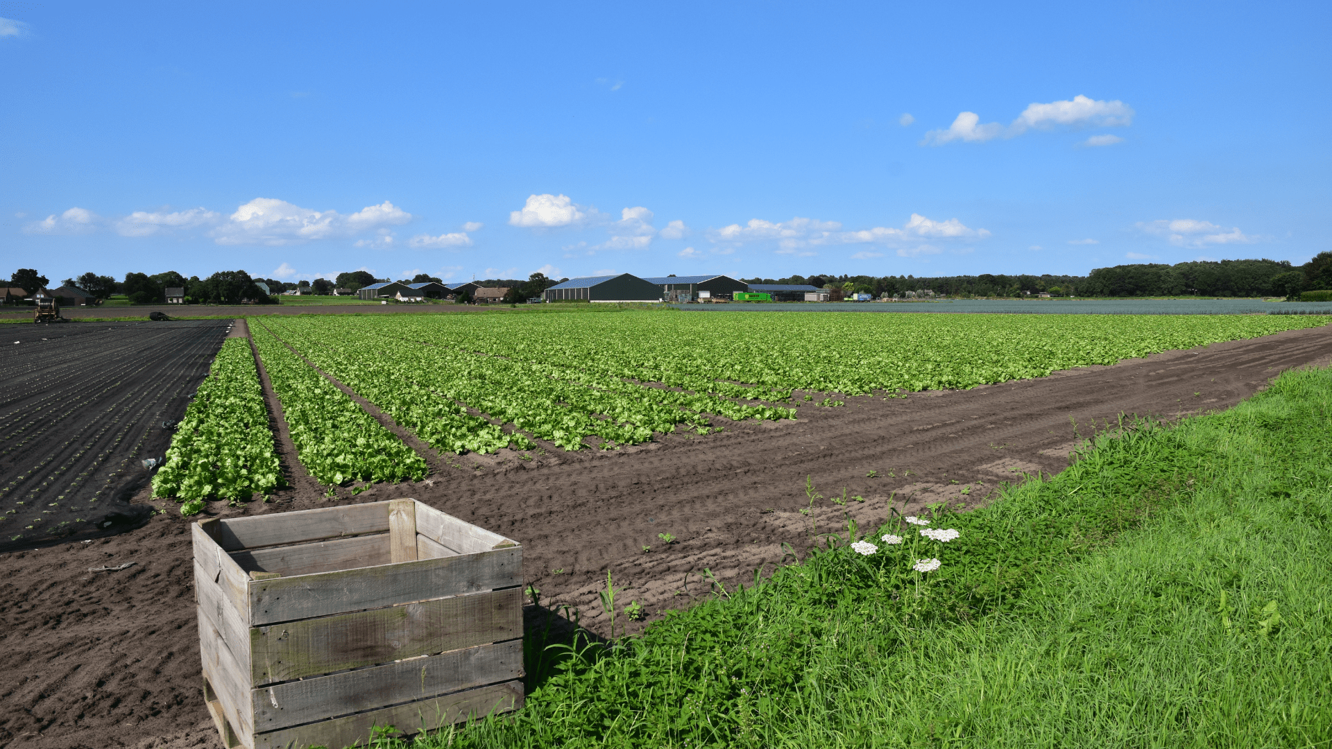 Afbeelding van landbouw in Noord-Brabant