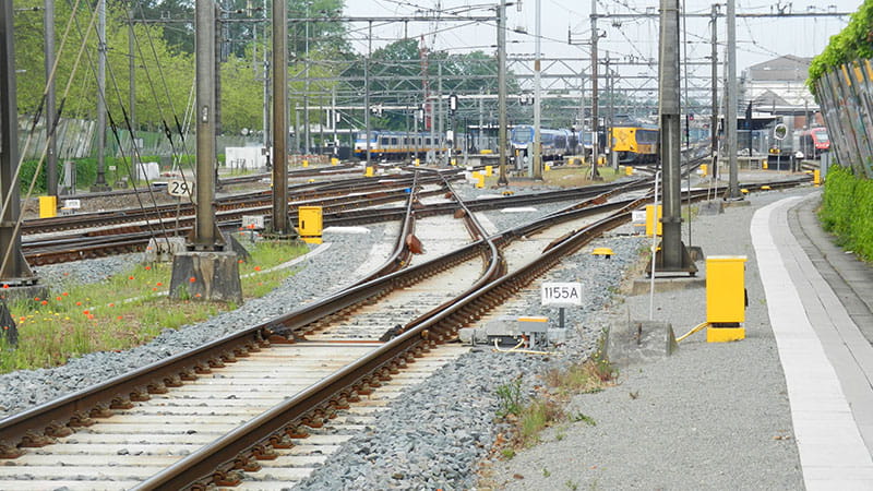 Kijfhoek