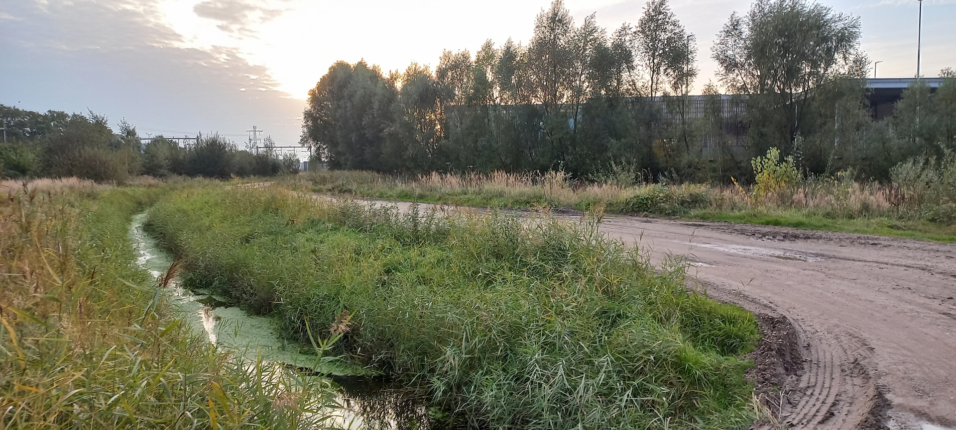 Bochtige zandweg door graslandschap met waterweg en industrieel gebouw op de achtergrond.