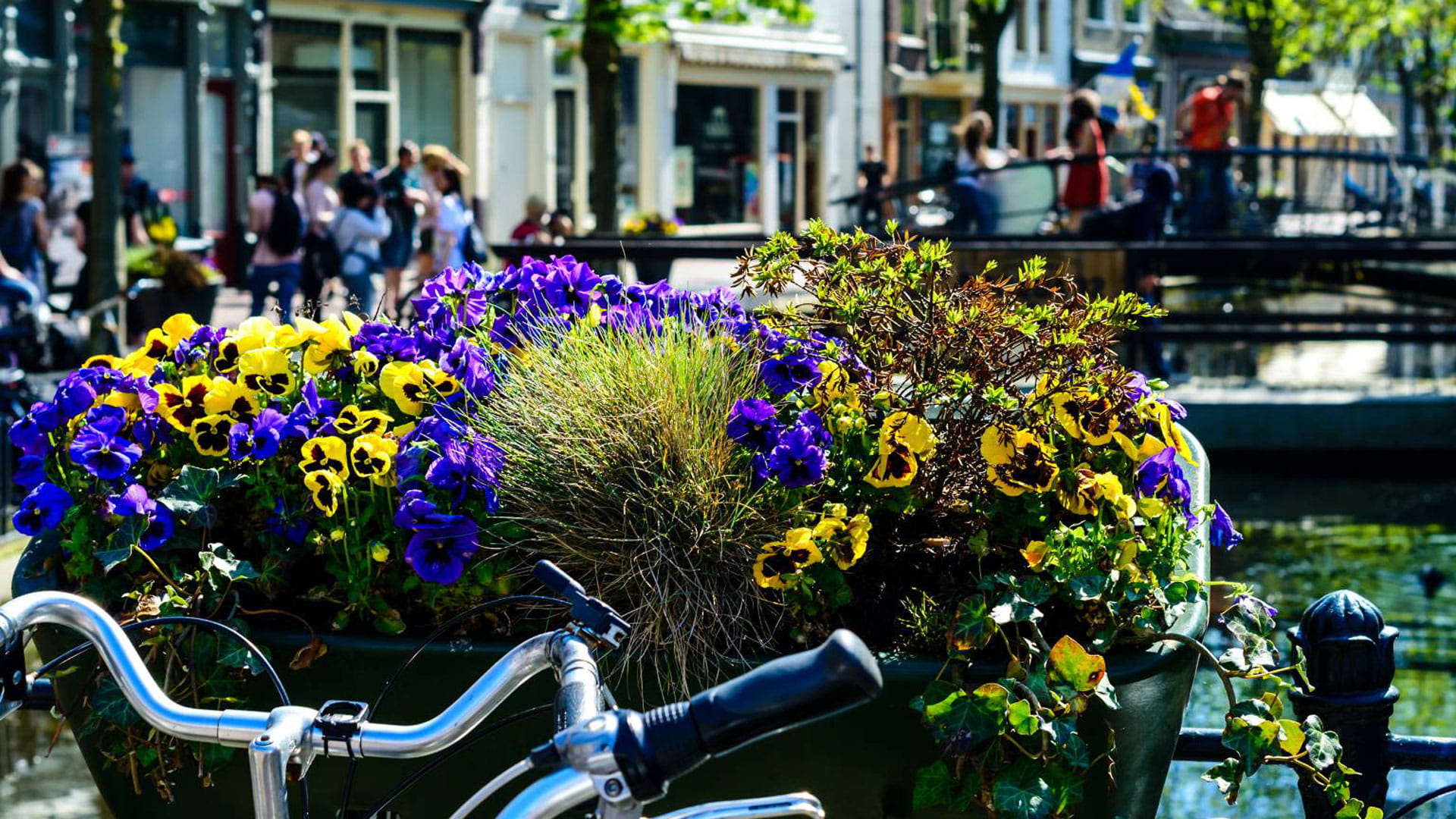 Een toekomstbestendige omgevingsvisie voor Gouda met focus op de maatschappelijke transities l Haskoning