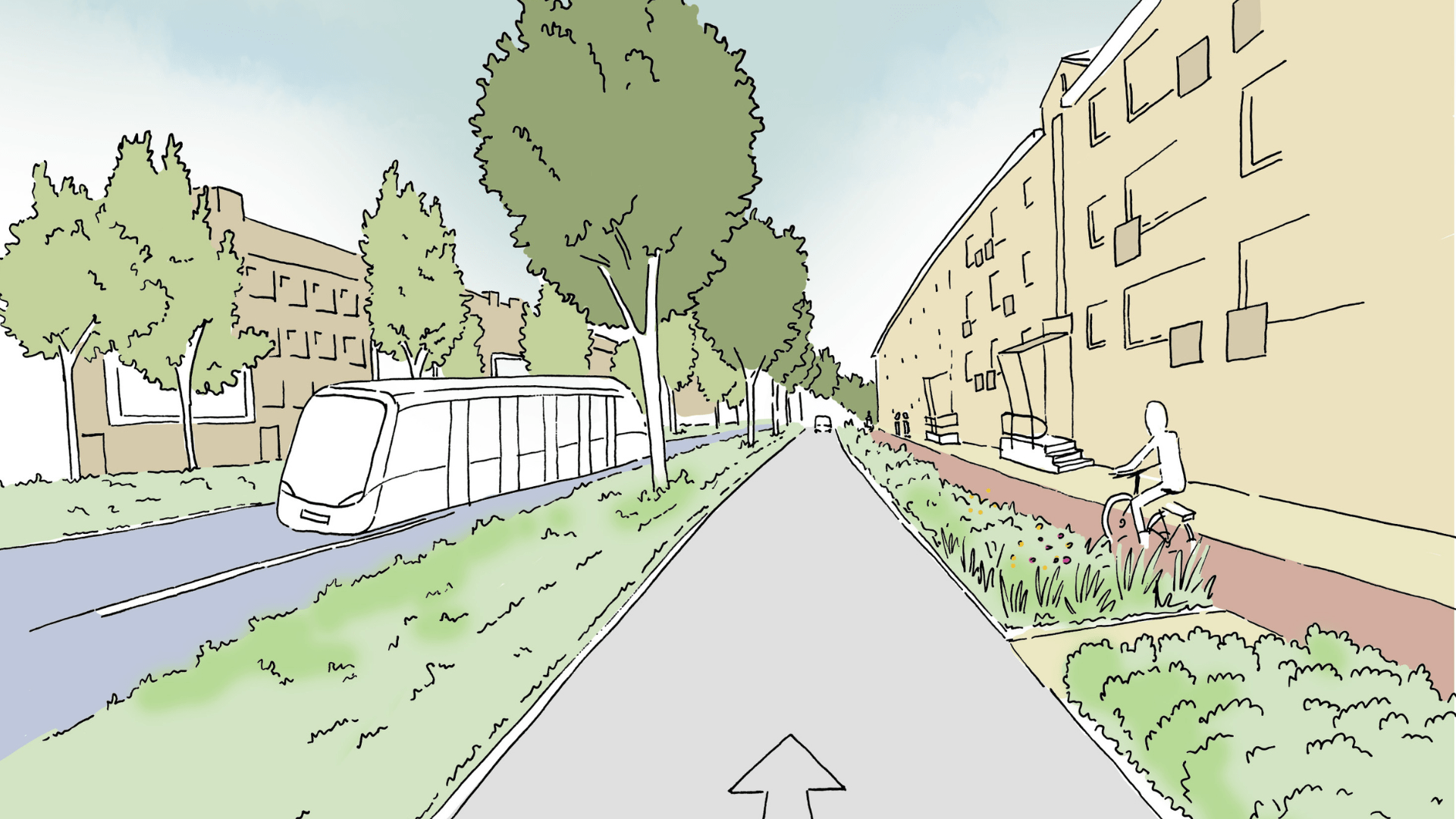 Toekomstig straatprofiel met ruimte voor Metrobus en leefkwaliteit HOV ZaanIJ
