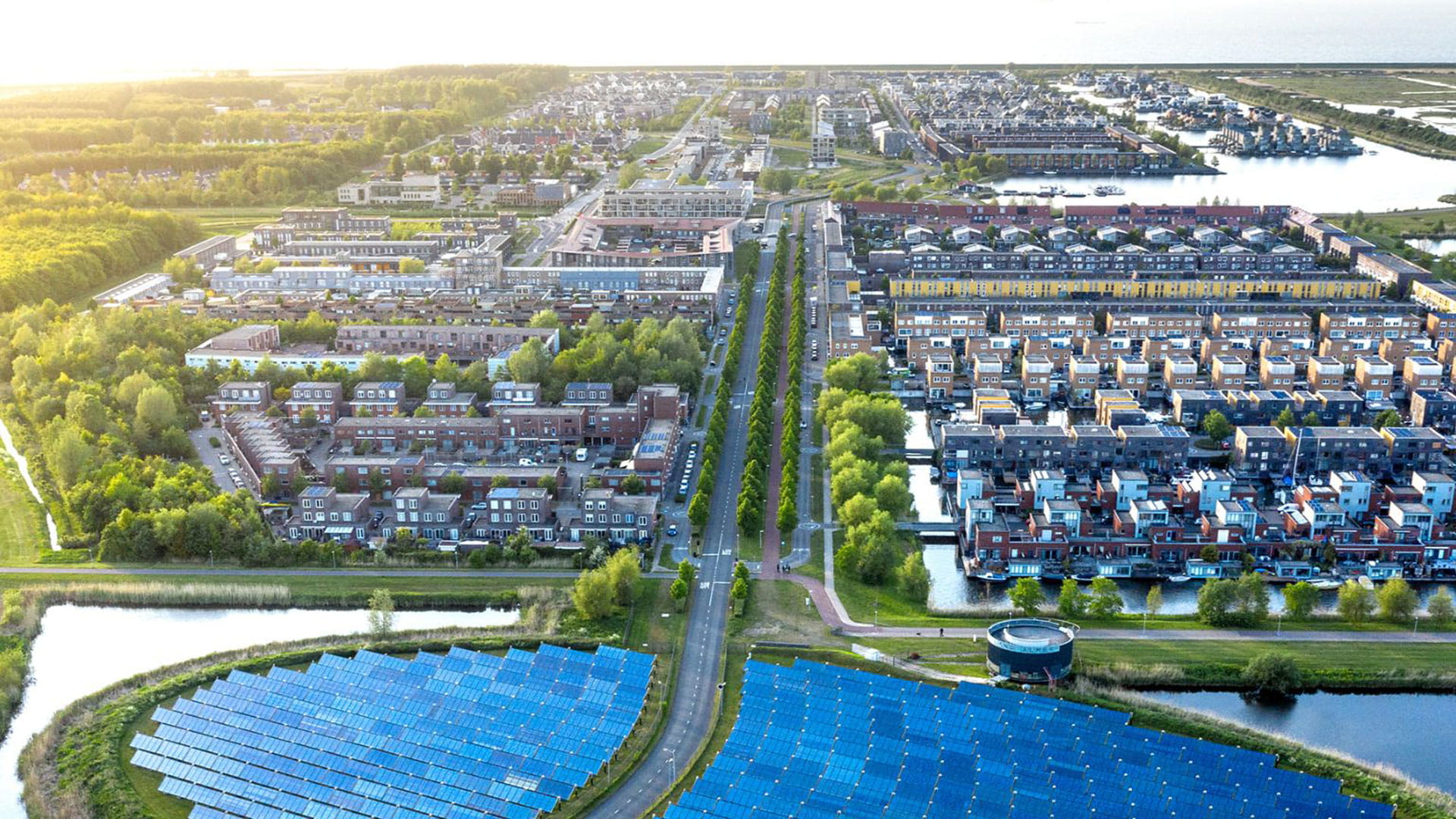 Structurele aanpak voor het verminderen van hittestress in uw gemeente l Haskoning