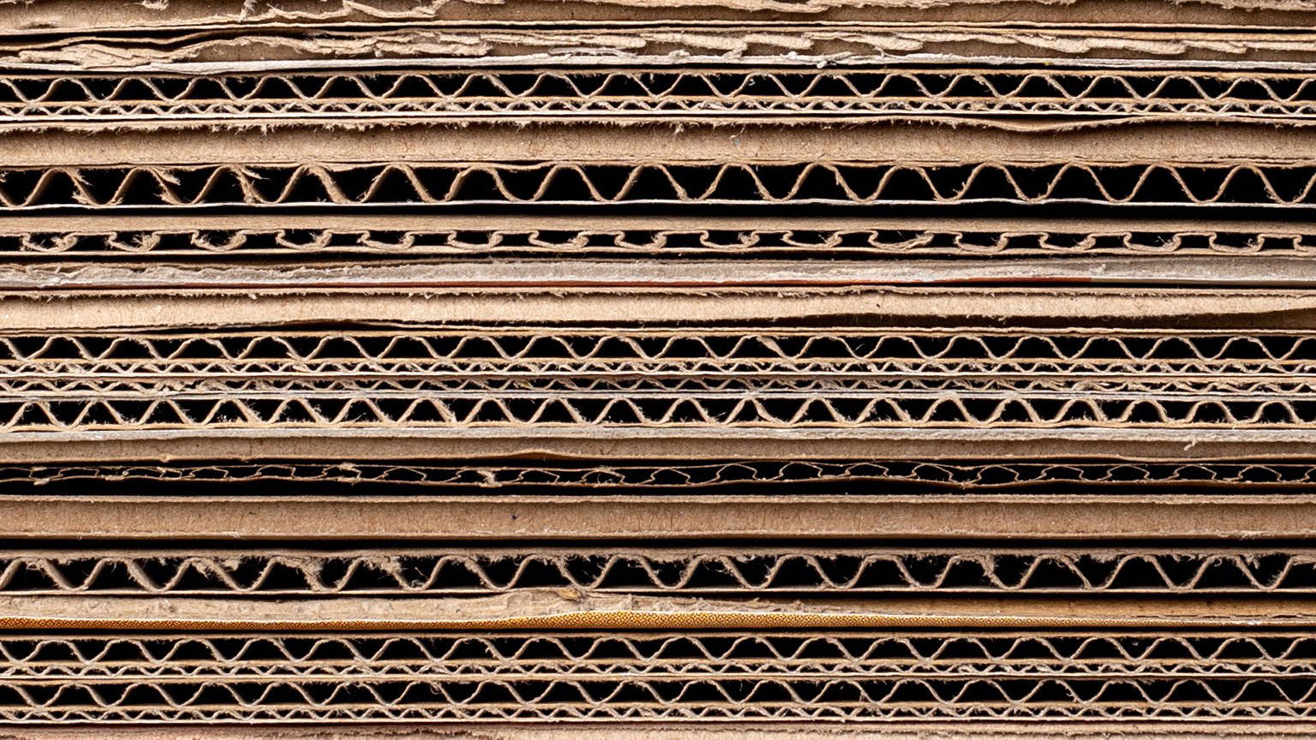 Transitie provincie Gelderland naar eerste afvalloze economie in Nederland l Haskoning