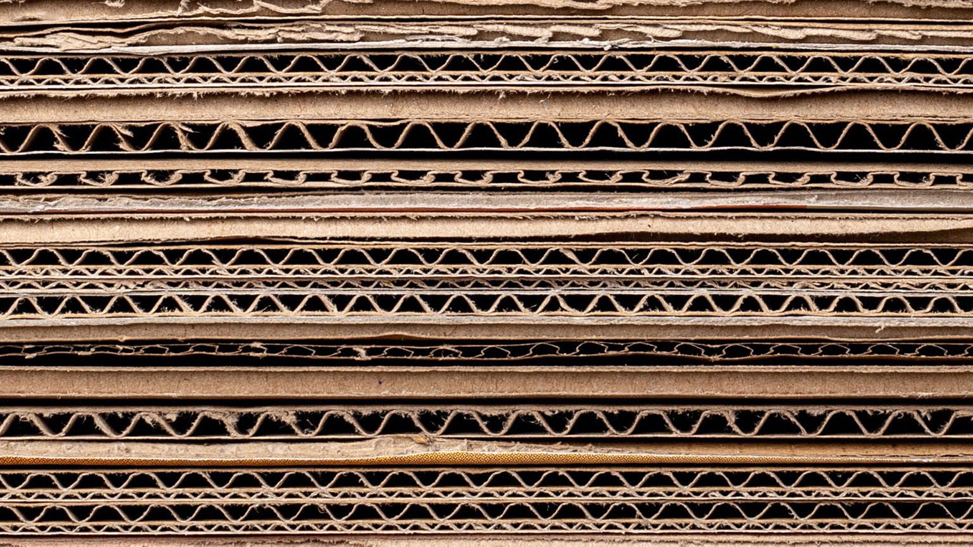 Transitie provincie Gelderland naar eerste afvalloze economie in Nederland l Haskoning