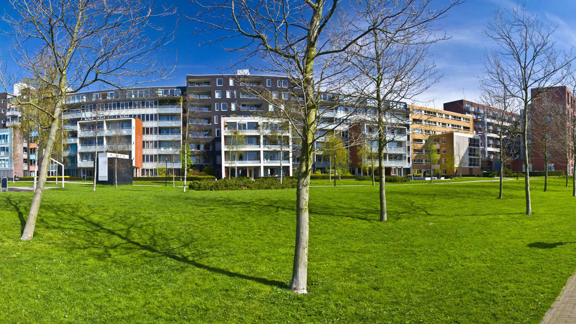 Amstel III: van bedrijventerrein naar gemengd, duurzaam en gezond stadsdeel l Haskoning