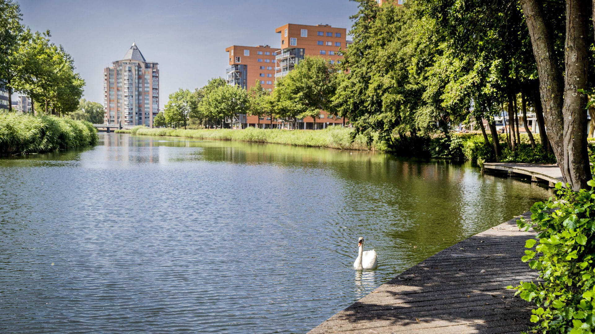 Waardegedreven beheer van de openbare ruimte Apeldoorn l Haskoning