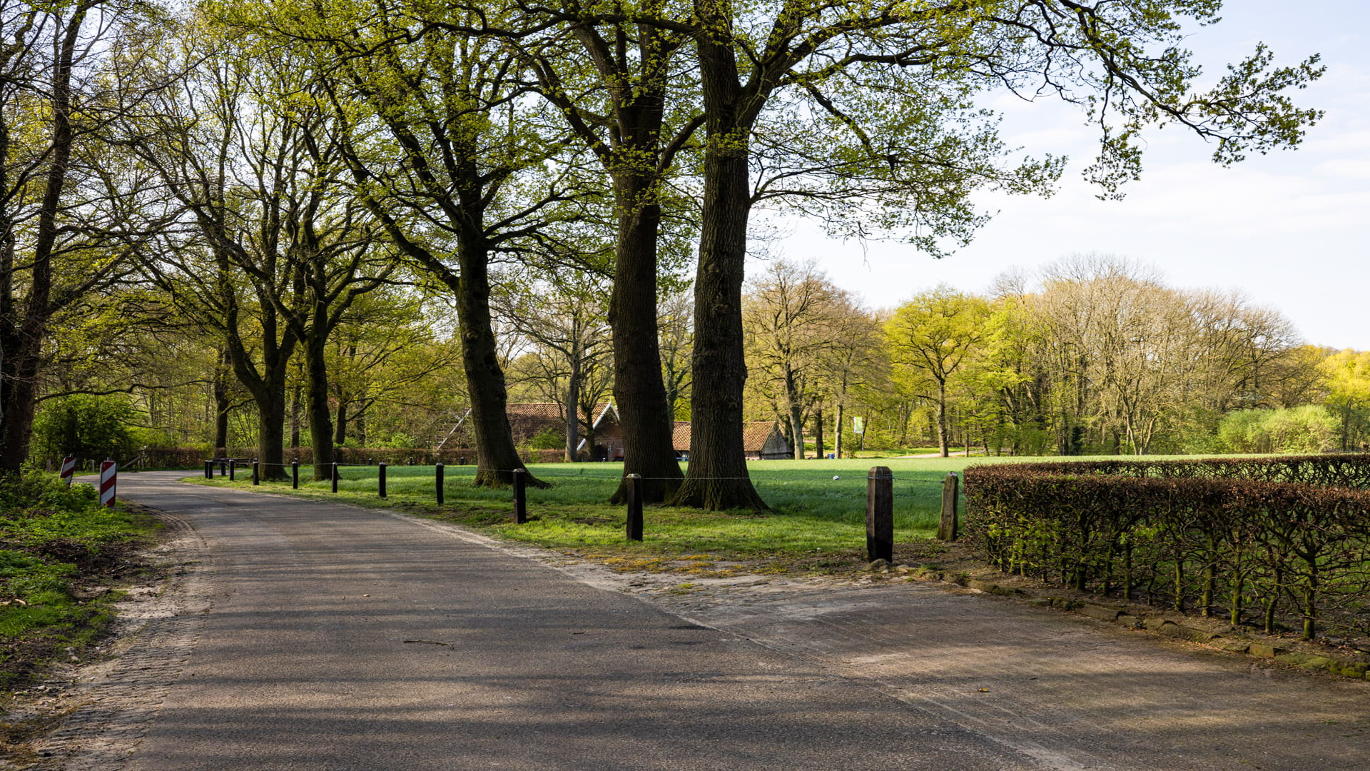 Slingerweg door groen landschap met grote bomen