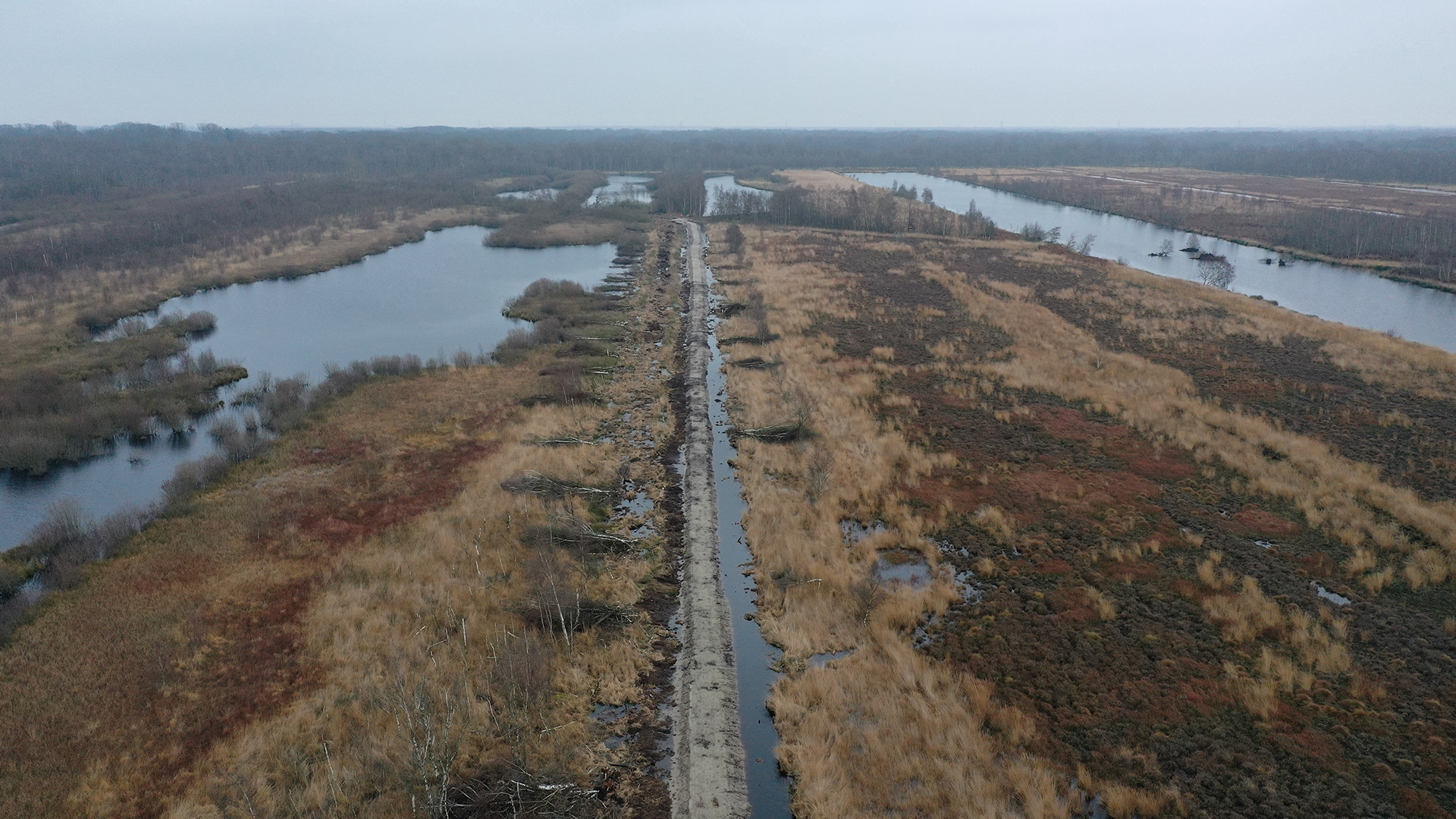 Hoogveen Leegveld, Deurnsche Peel