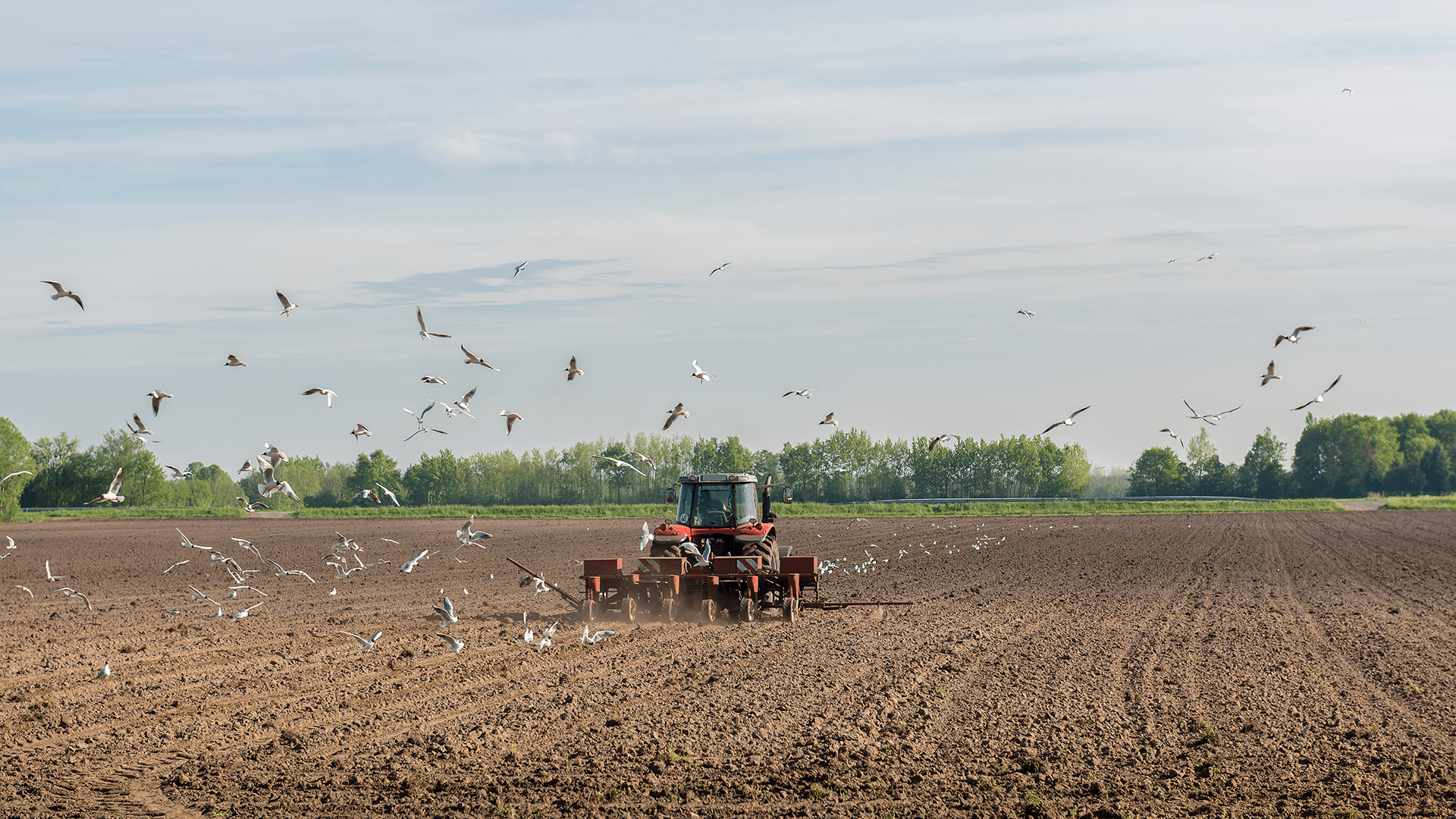 Tractor die rijdt op een landelijk veld in Nederland