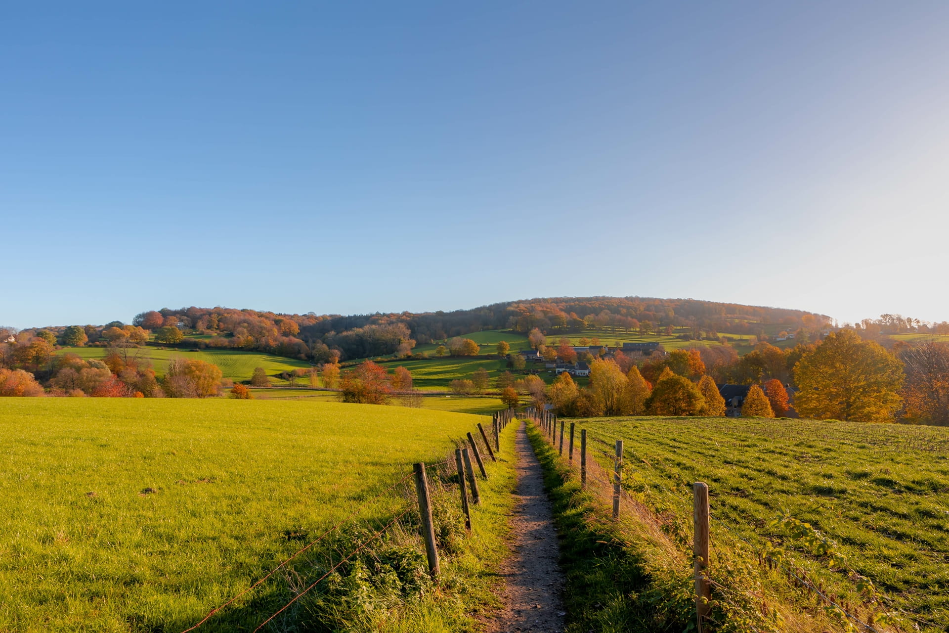 Landscape of hilly countryside in Zuid-Limburg