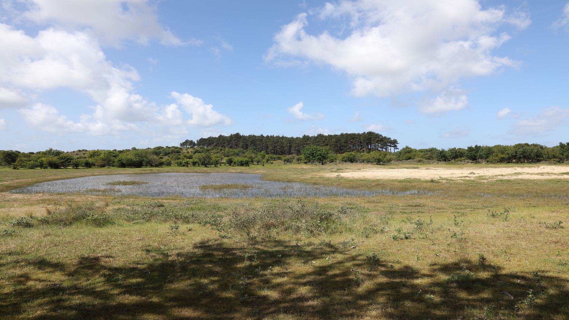 Duingebied met natte laagte als voorbeeld voor klimaatstresstest van duincampings en inzicht in hemelwaterimpact.
