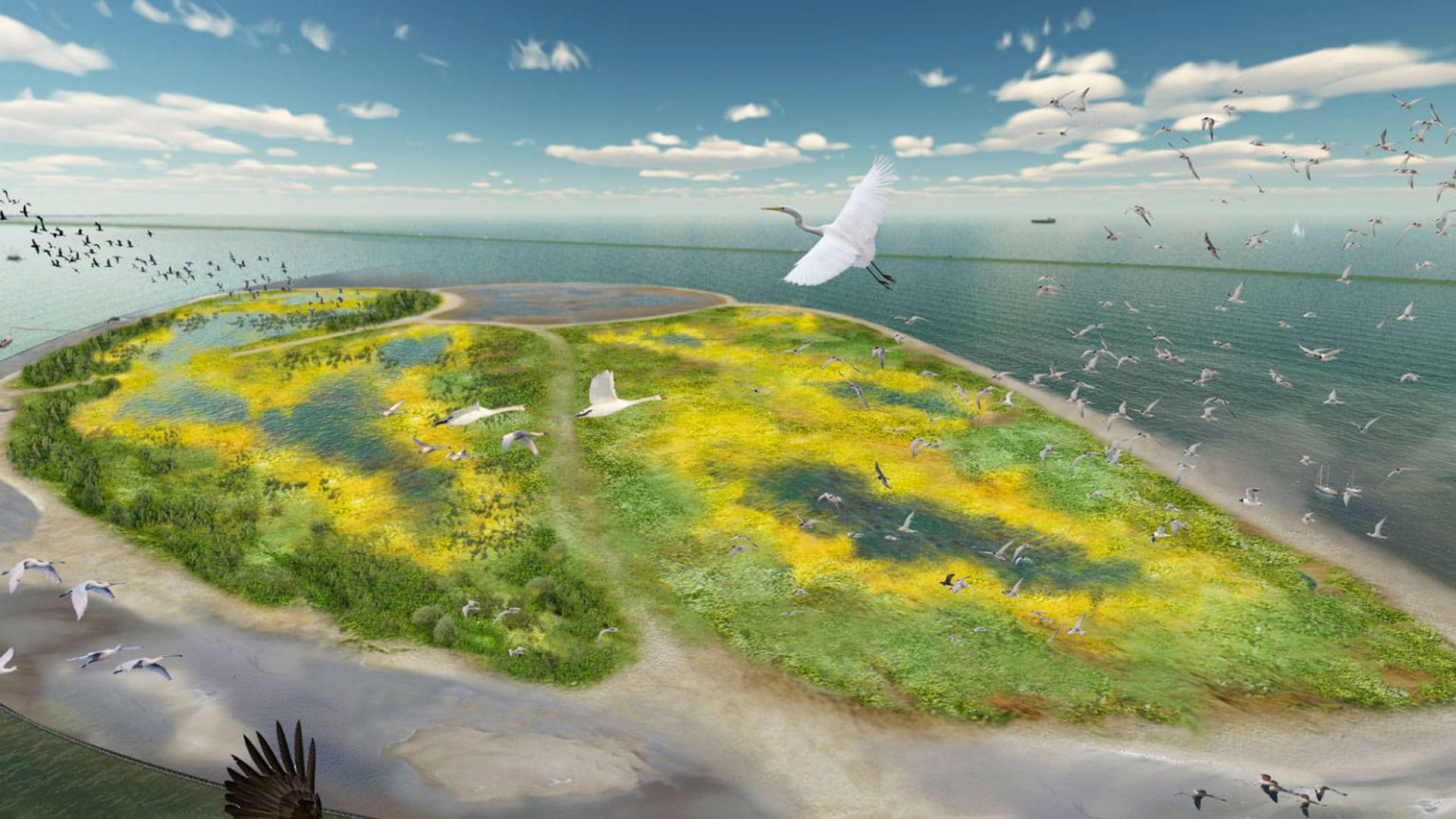 Marker wadden: van ecologische droom naar unieke realiteit l Haskoning