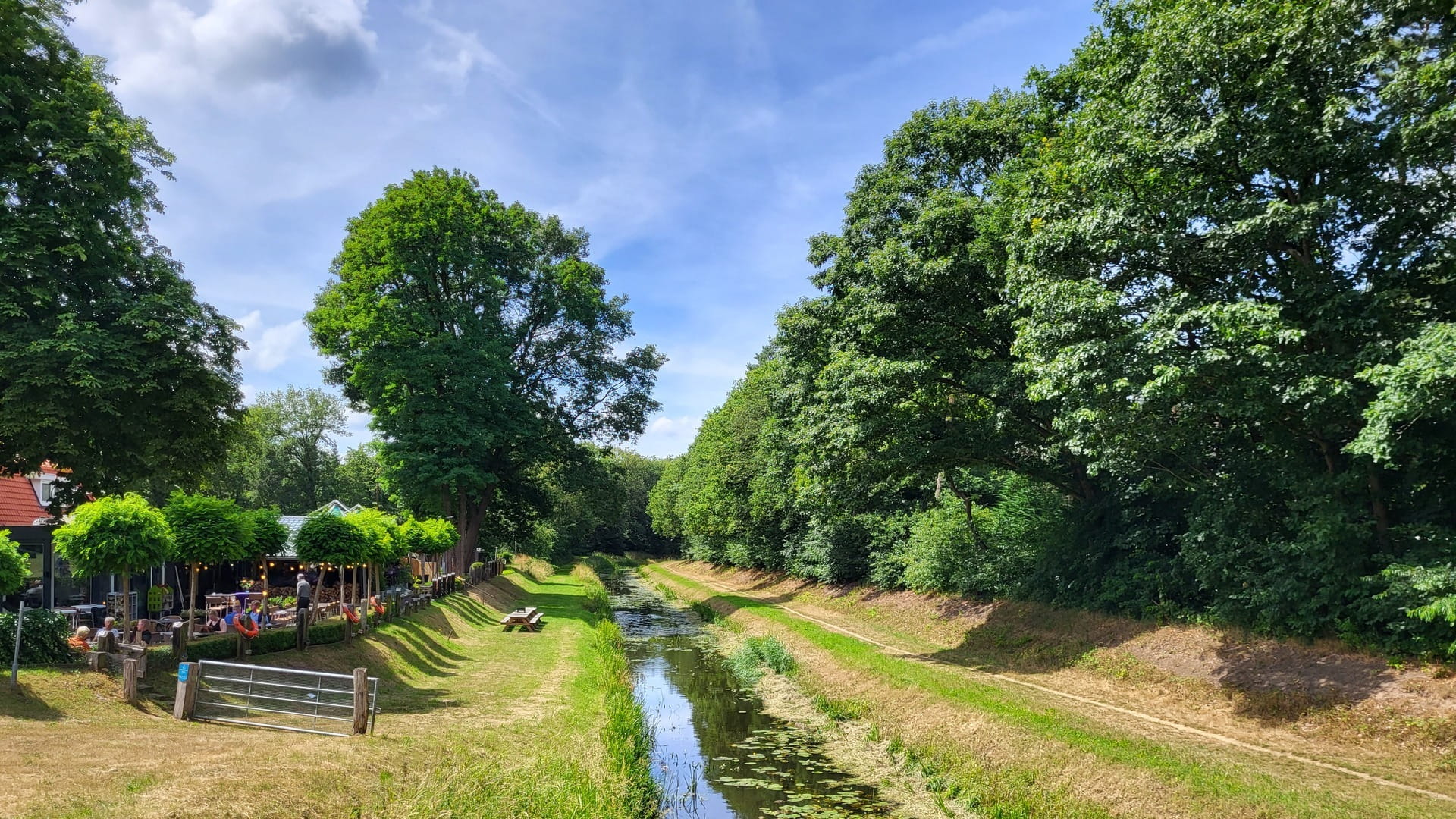 Landschap met slootje en bomen