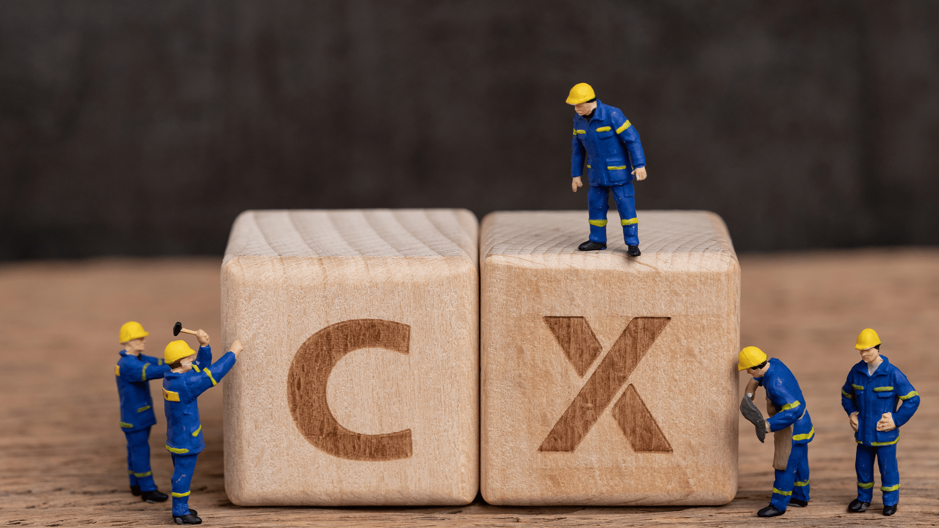 Customer Experience Masterclass