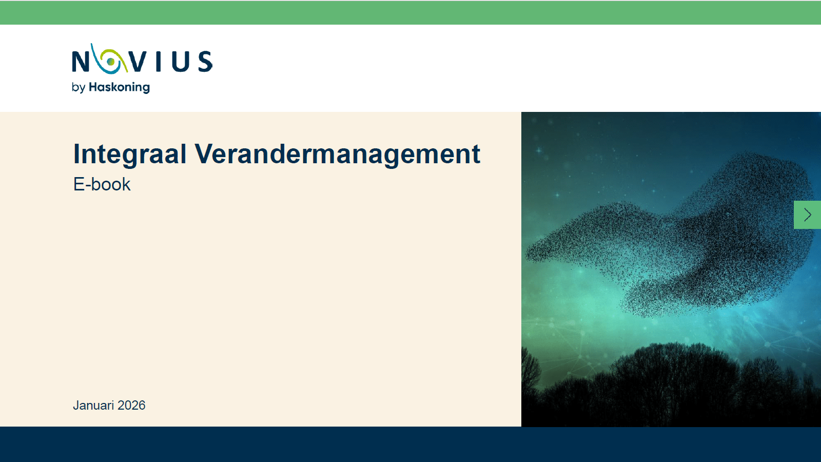 Ebook Integraal verandermanagement