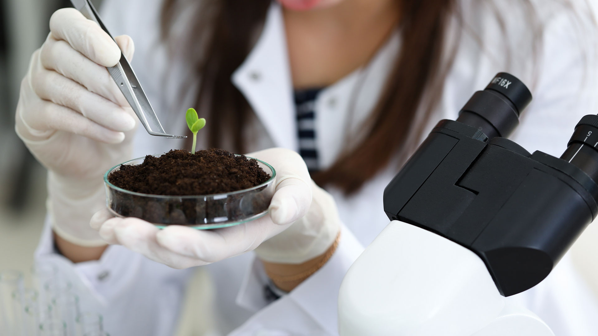 Improving-Data-Management-in-Practice-H