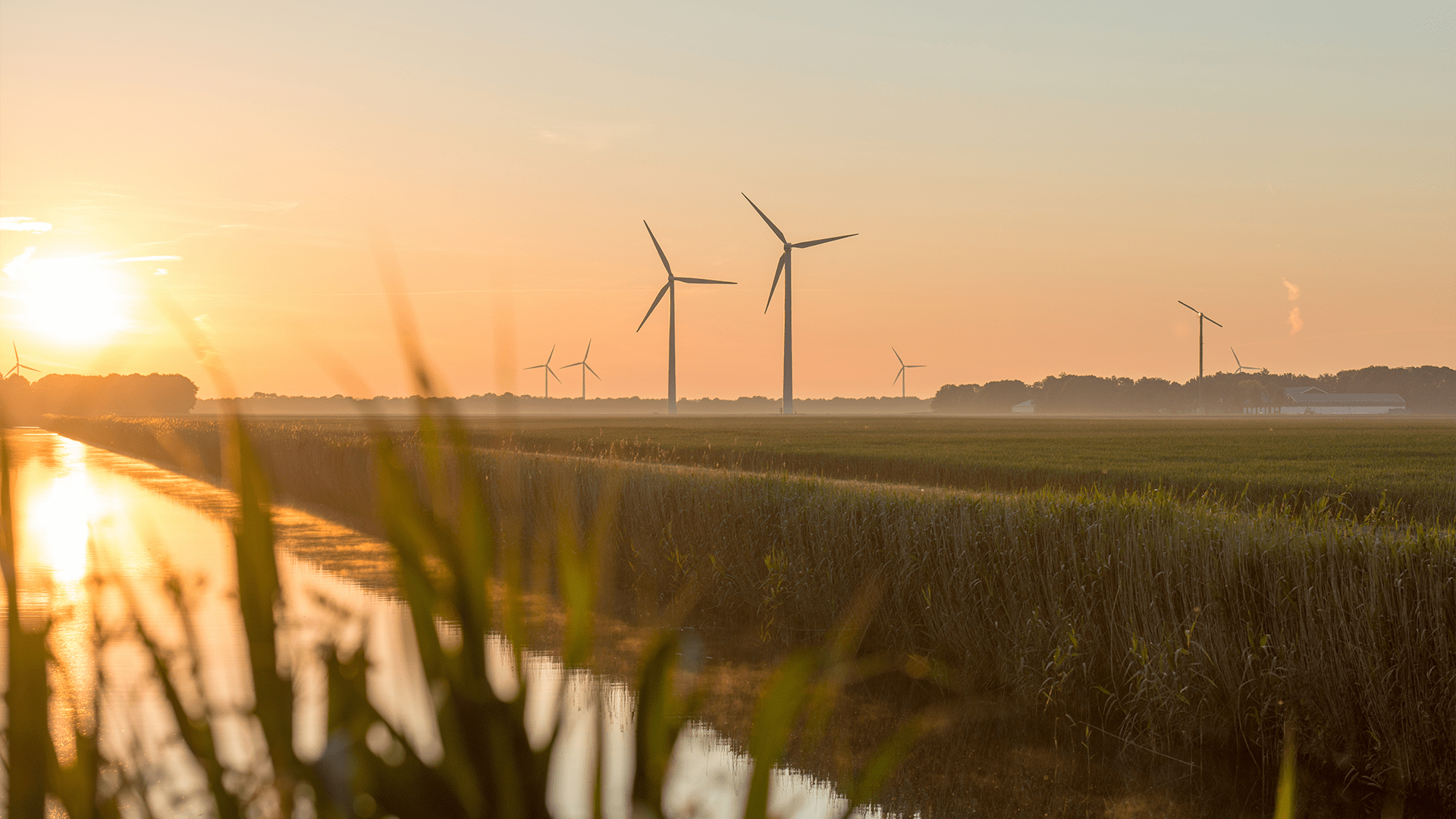 Landelijk gebied met rivier tijdens zonsondergang met windmolens in de achtergrond