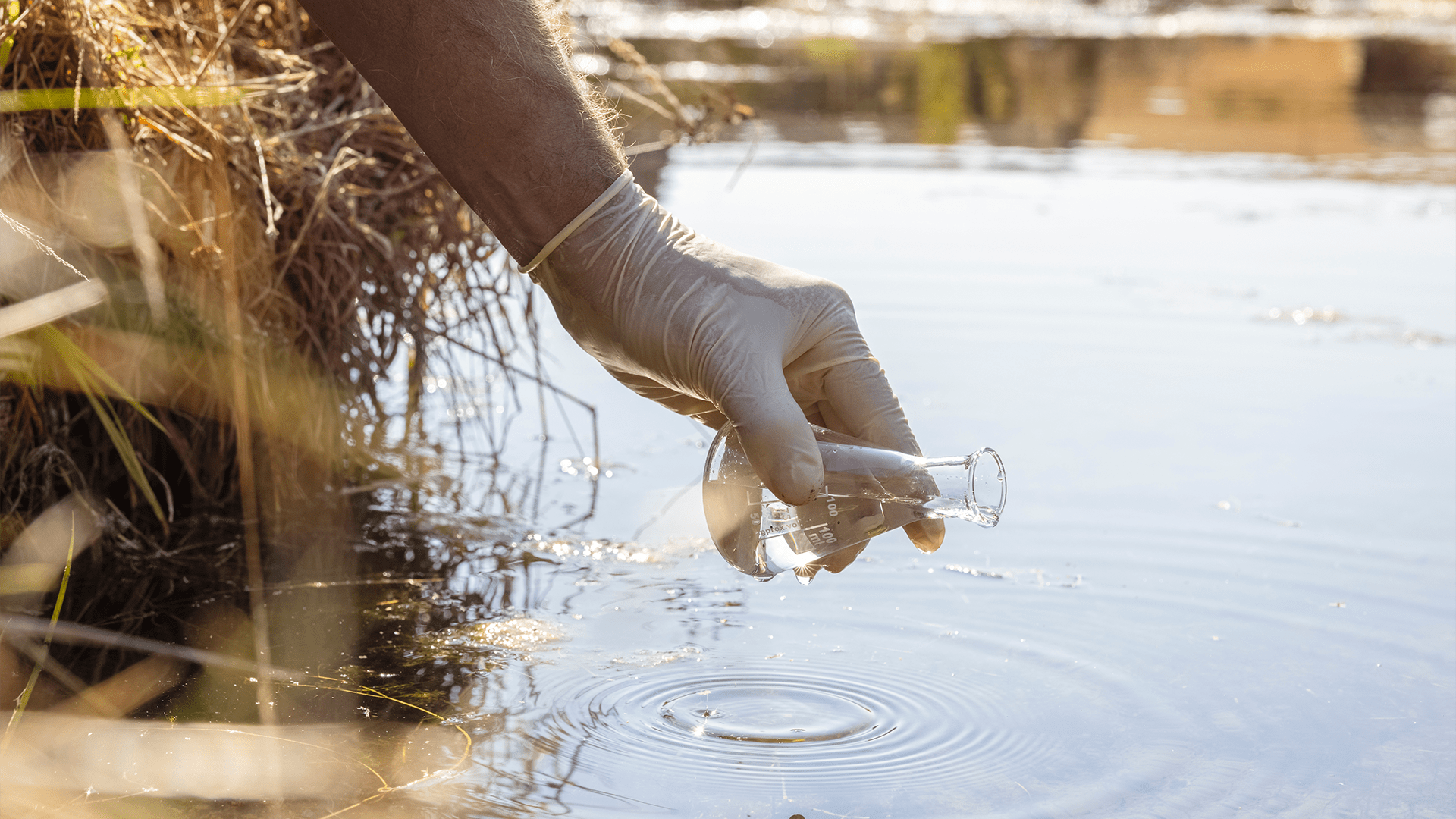Expert die waterkwaliteit test
