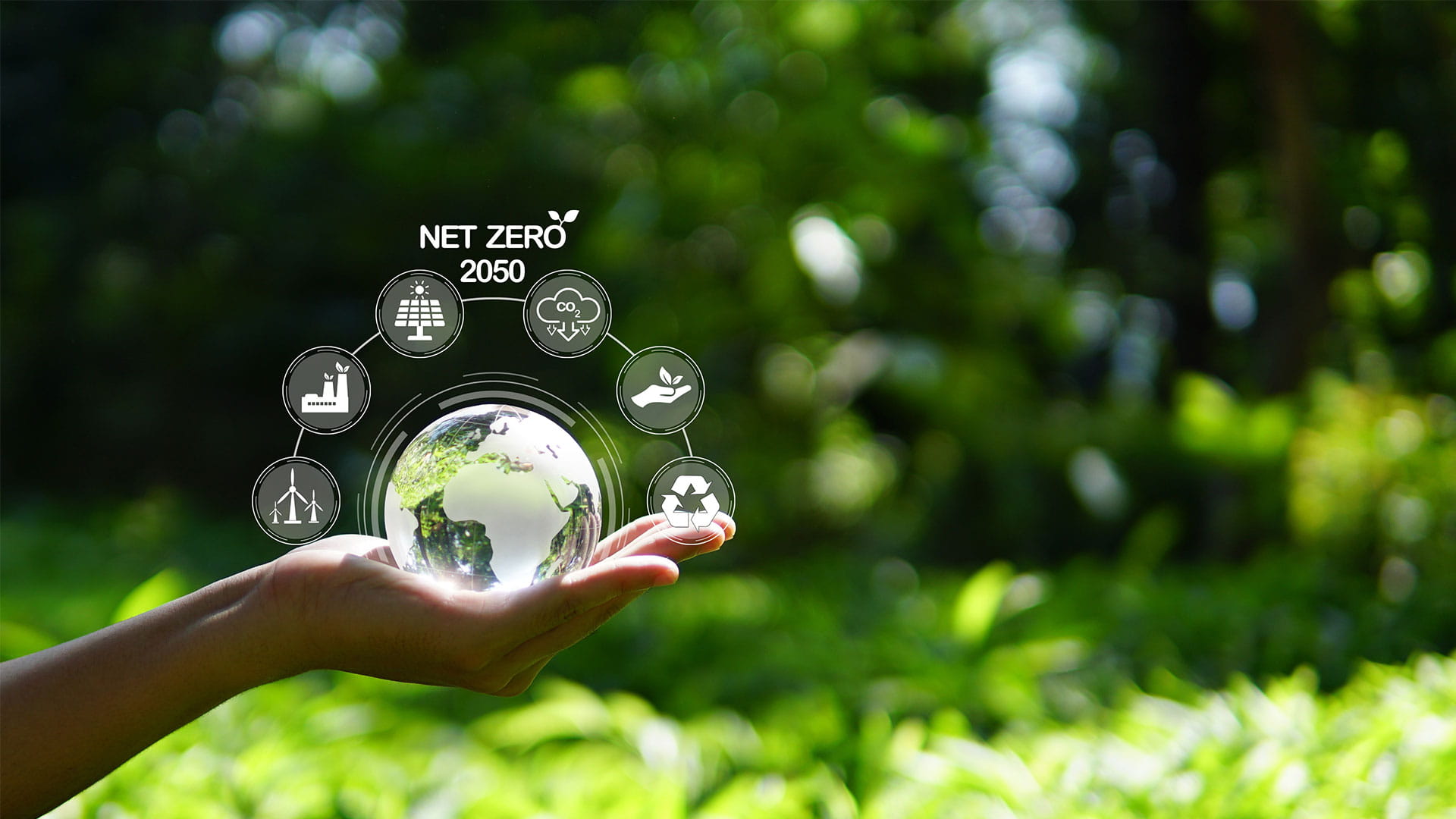 hand met kristallen bol op net zero