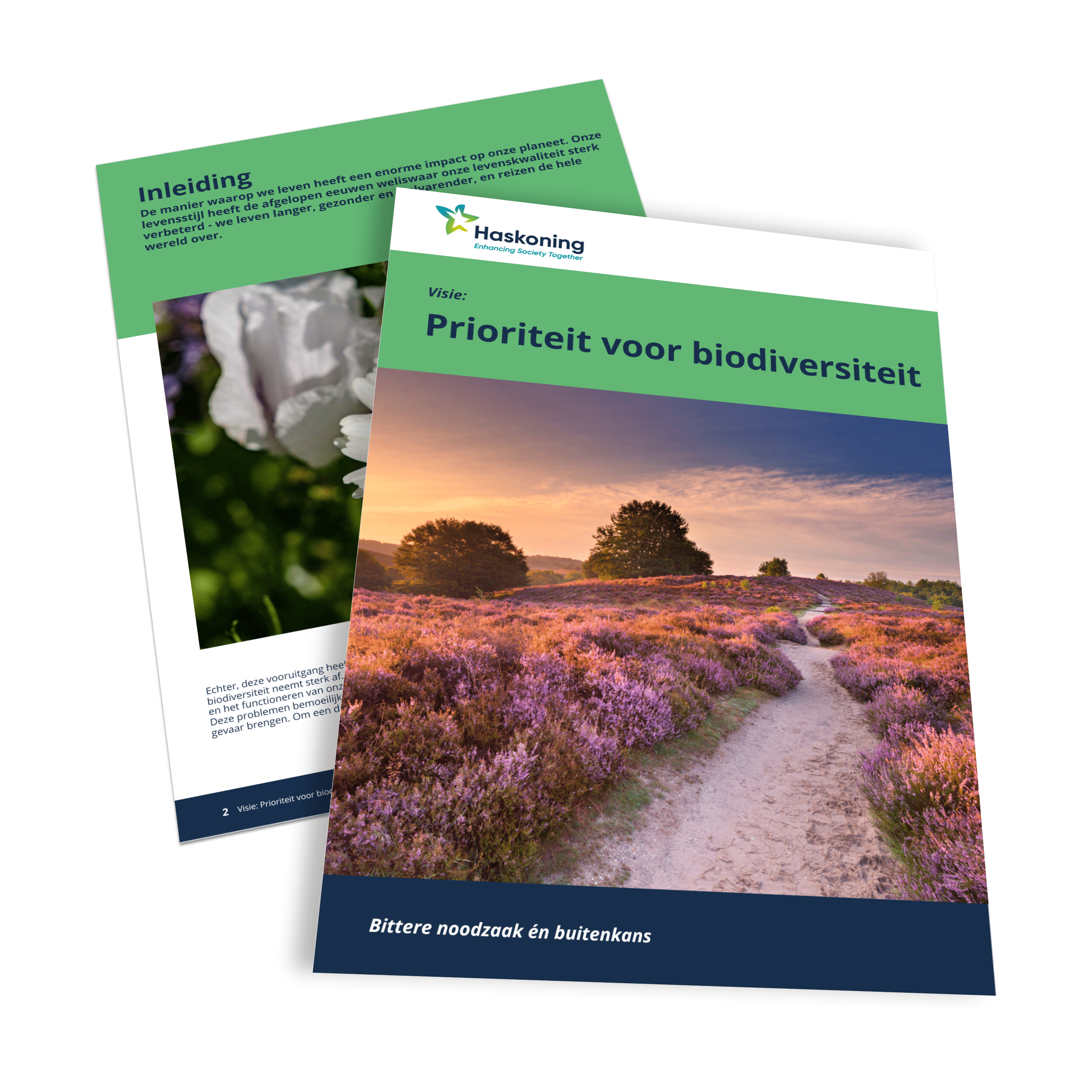 biodiversity_vision_document_3D