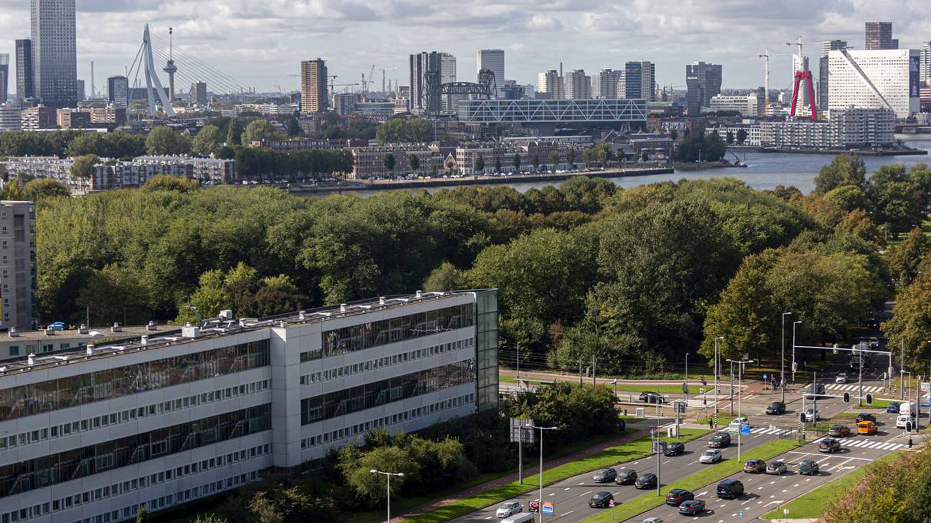 Voorrang voor de fiets l Haskoning